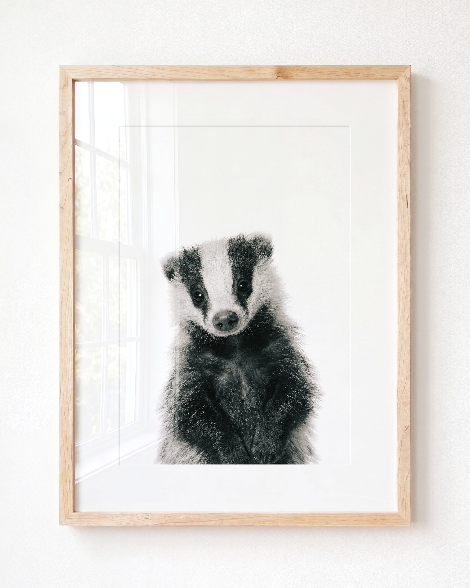 Baby Badger