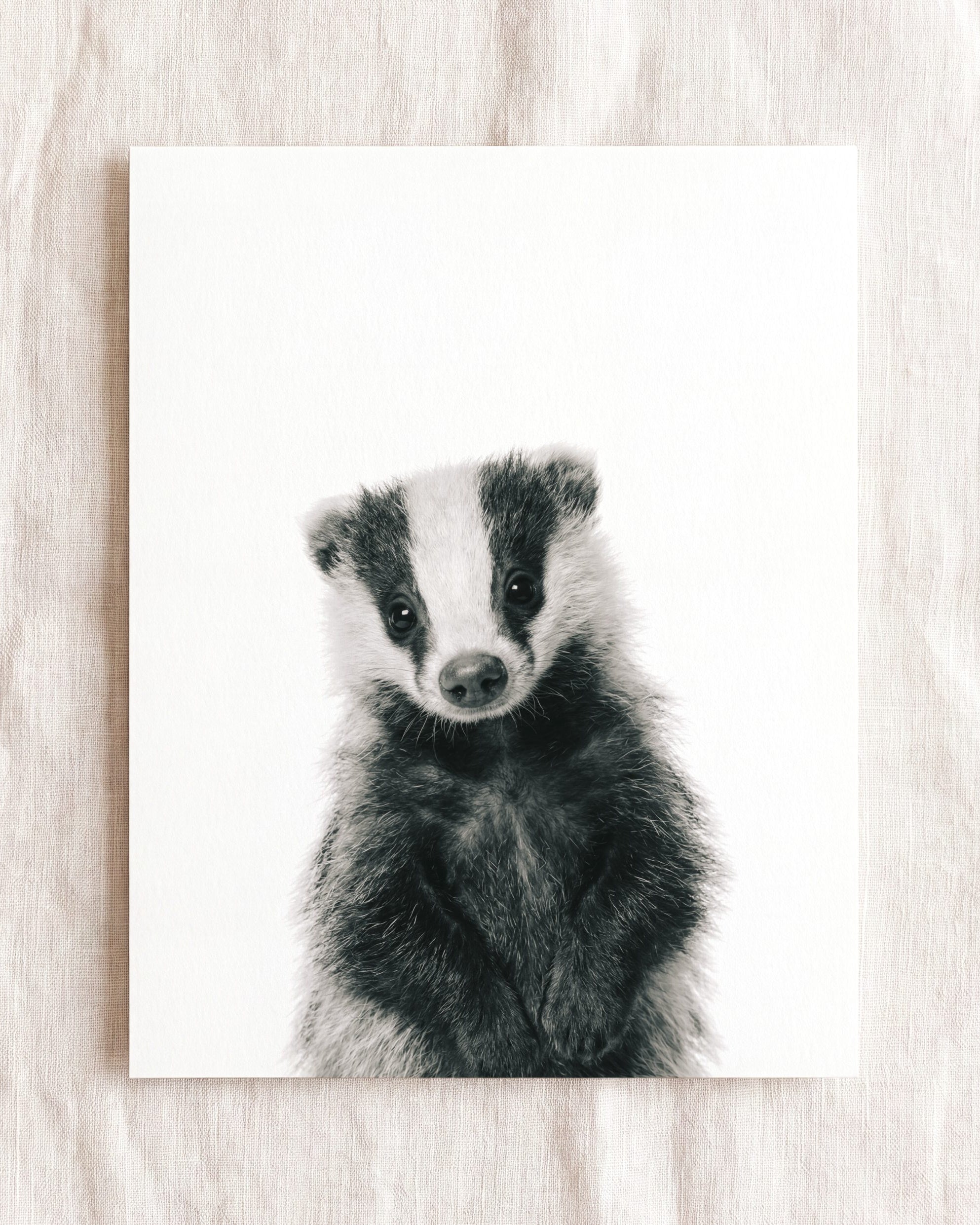 Baby Badger