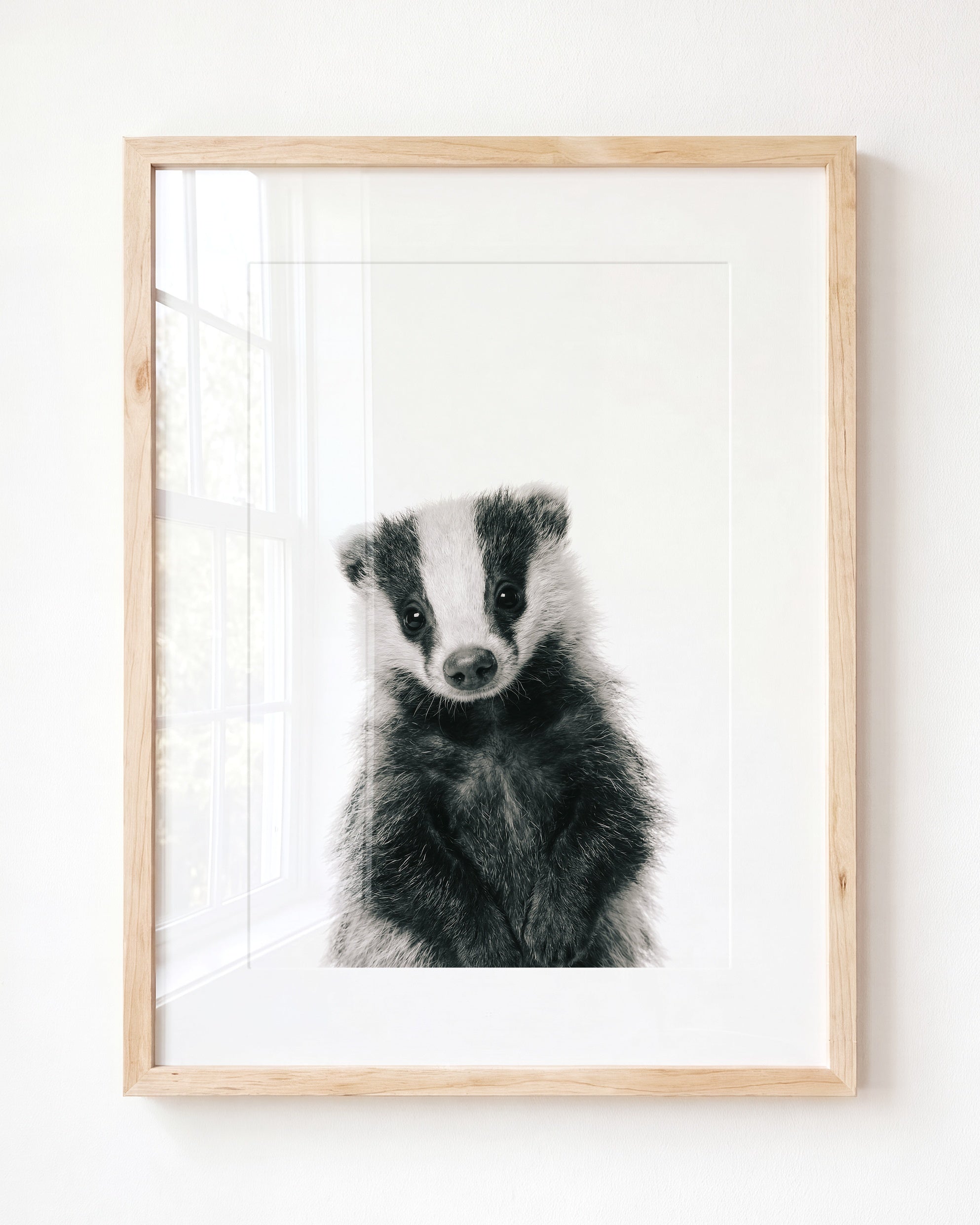 Baby Badger
