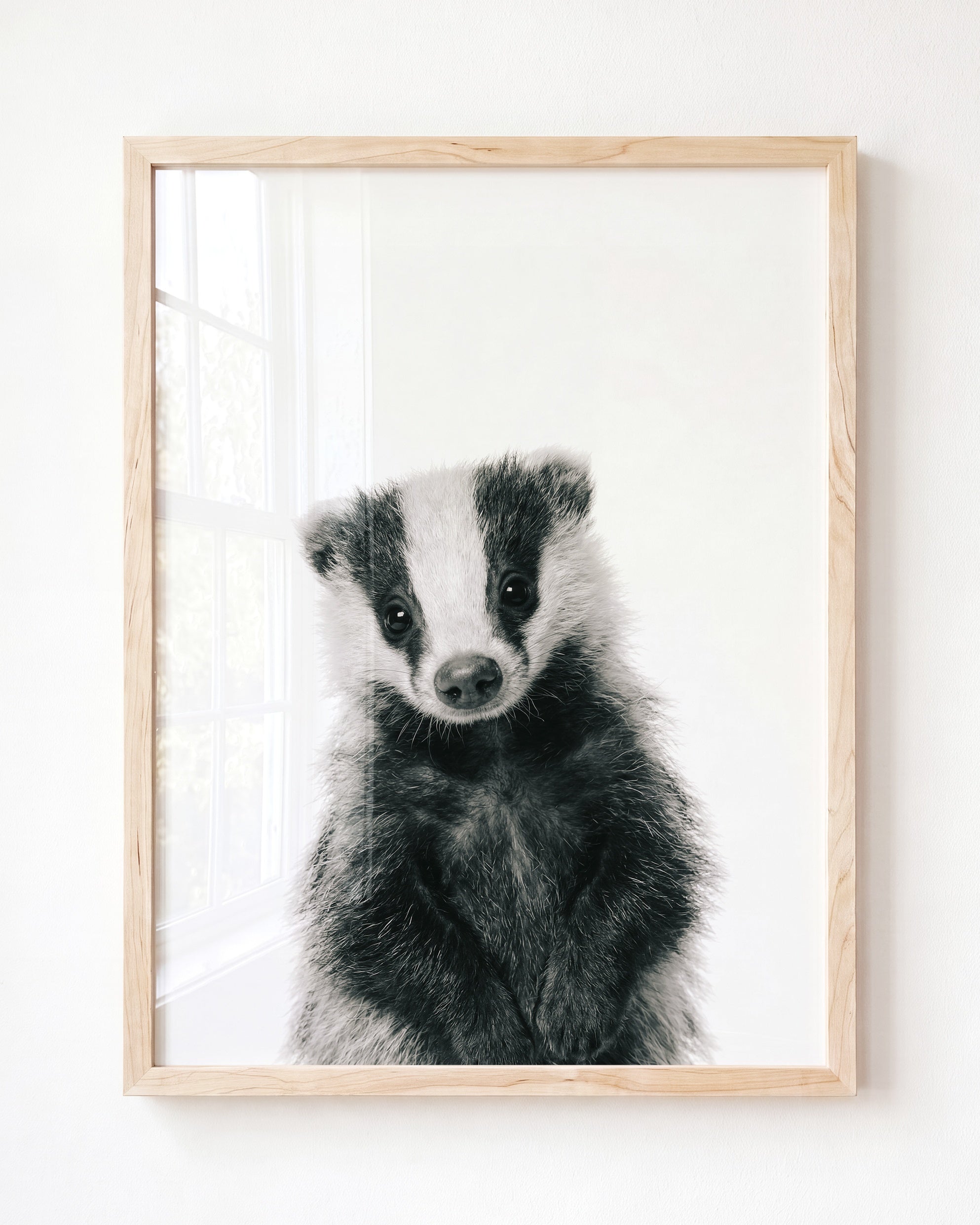 Baby Badger