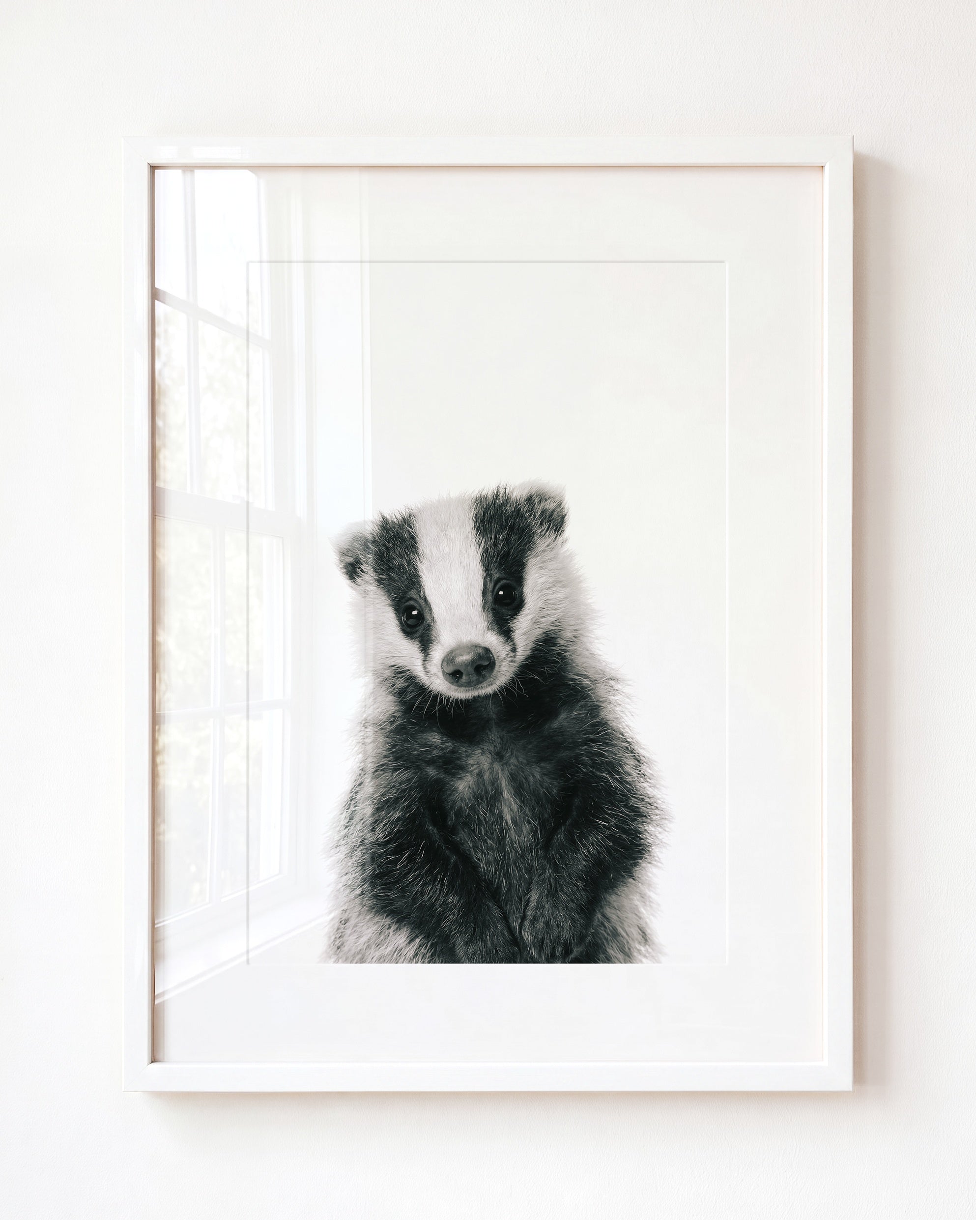 Baby Badger