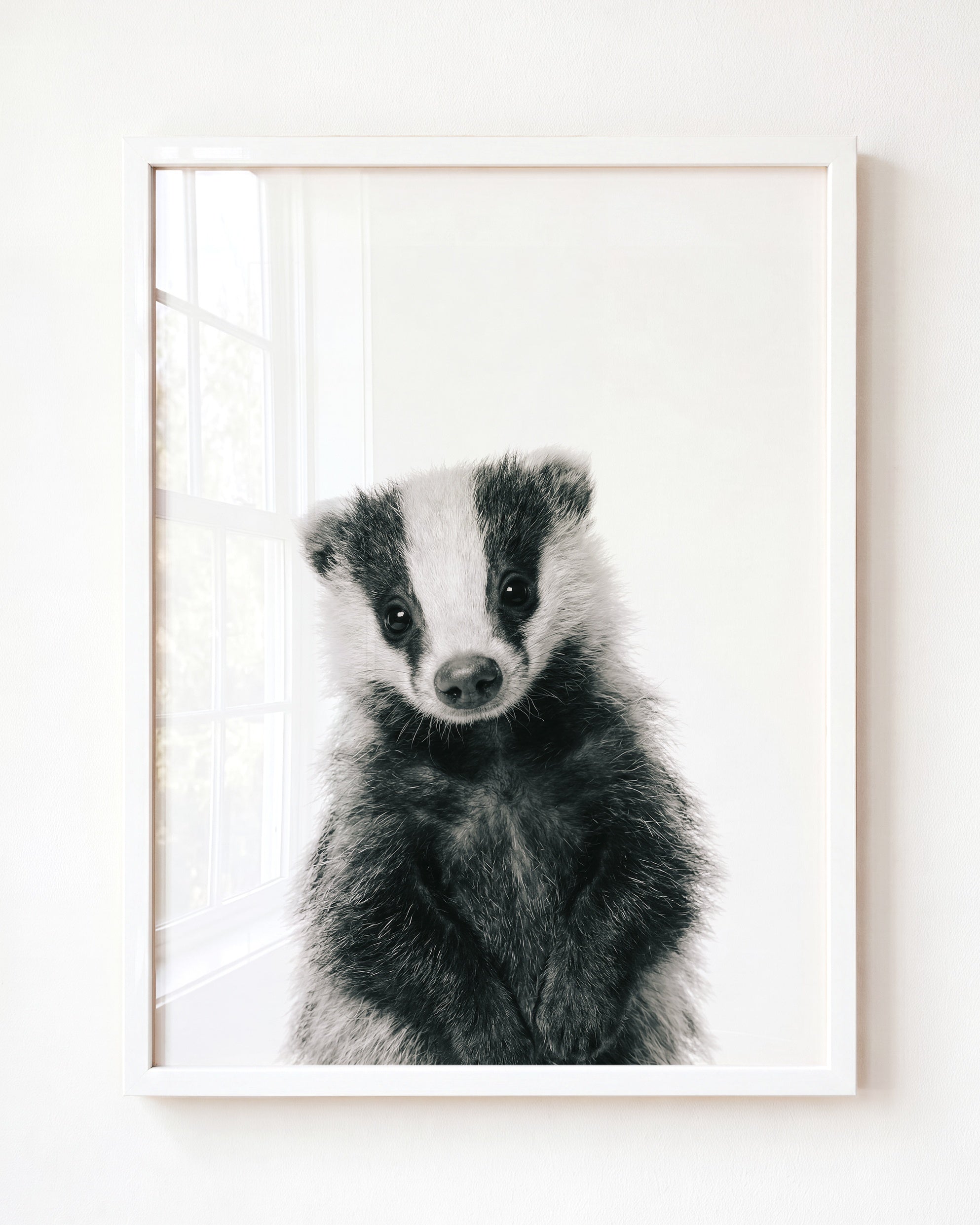 Baby Badger