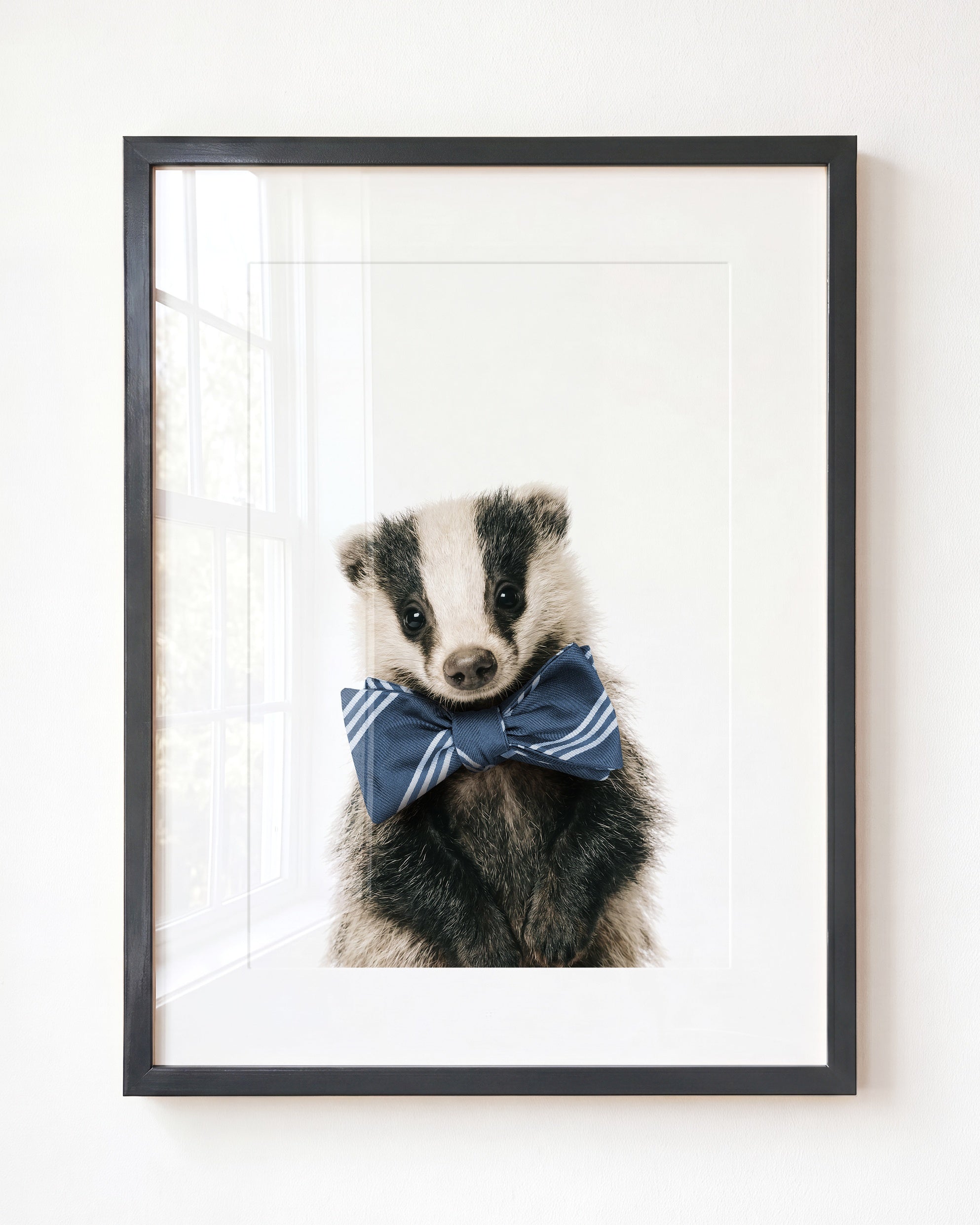 Baby Badger