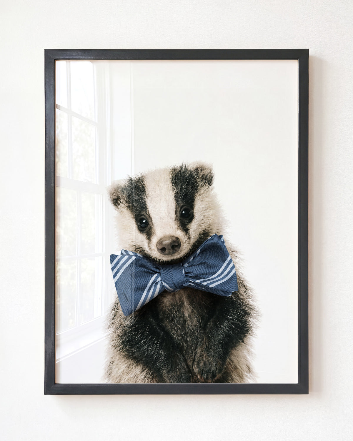 Baby Badger
