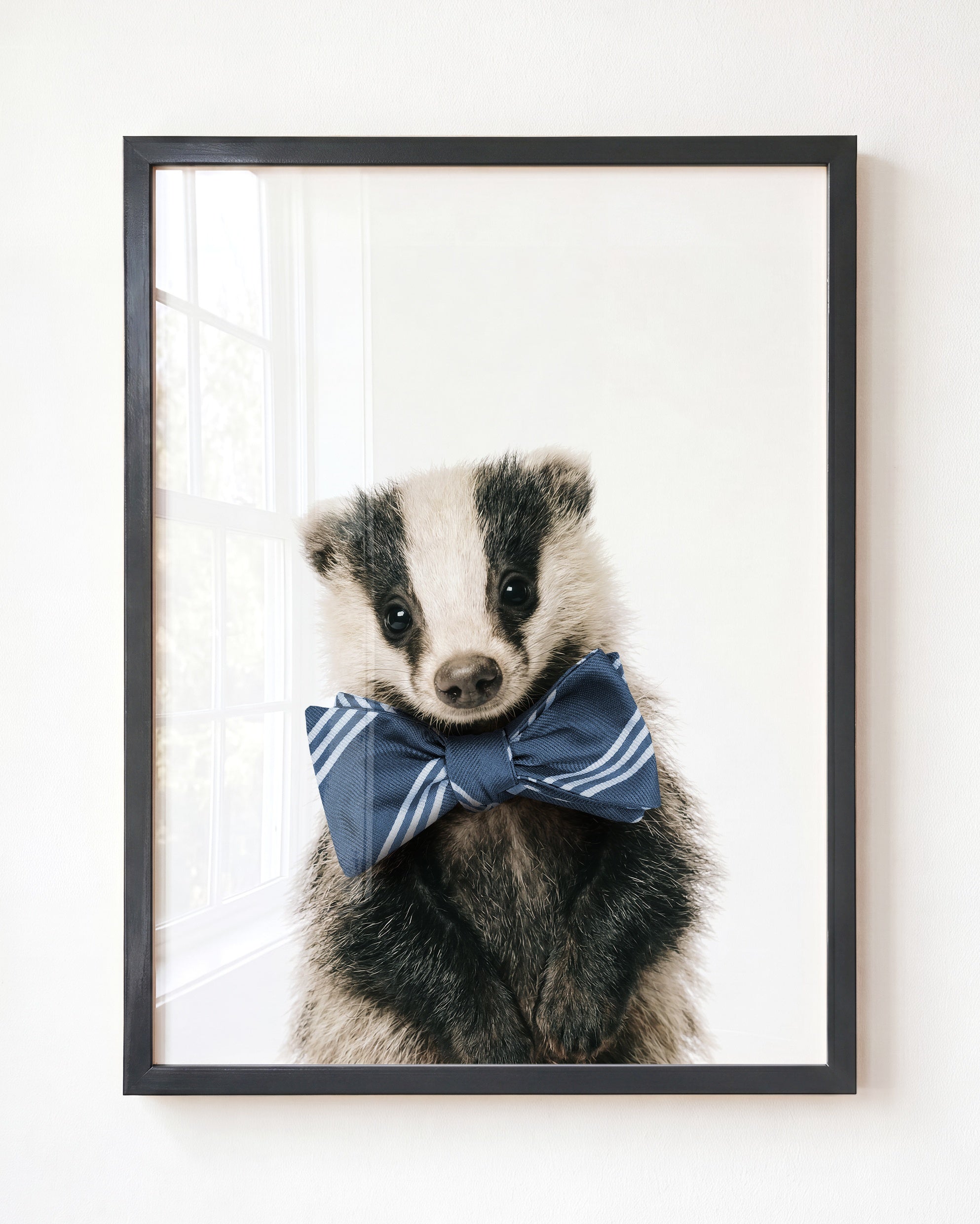Baby Badger