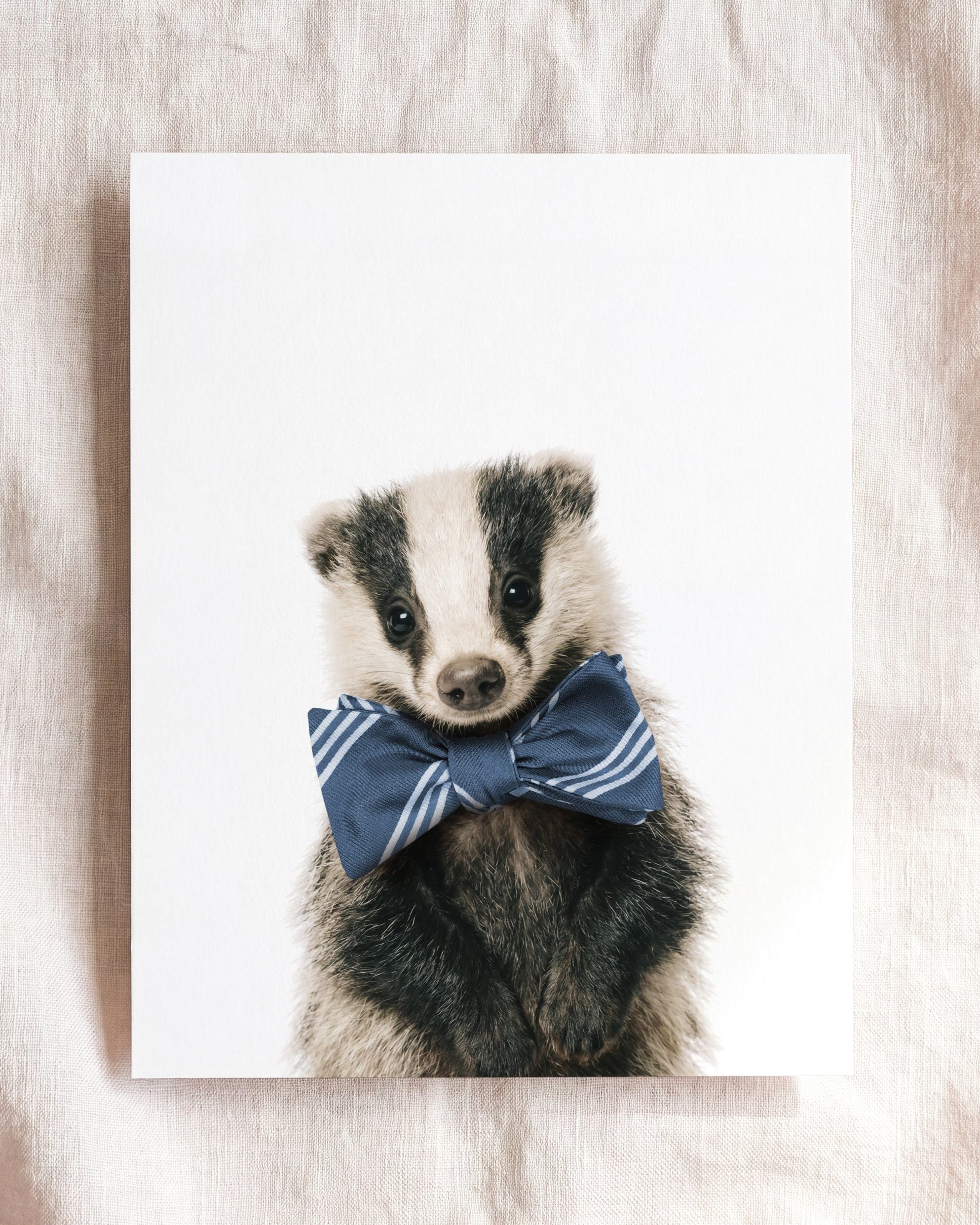 Baby Badger