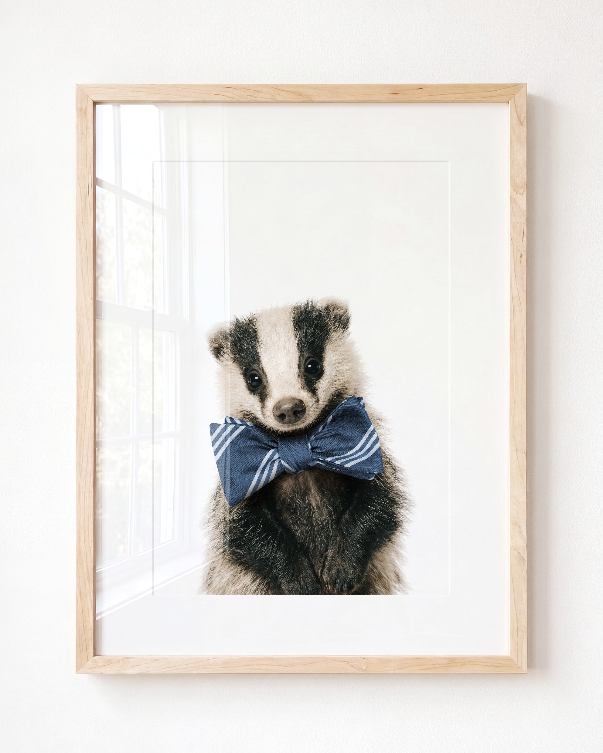 Baby Badger