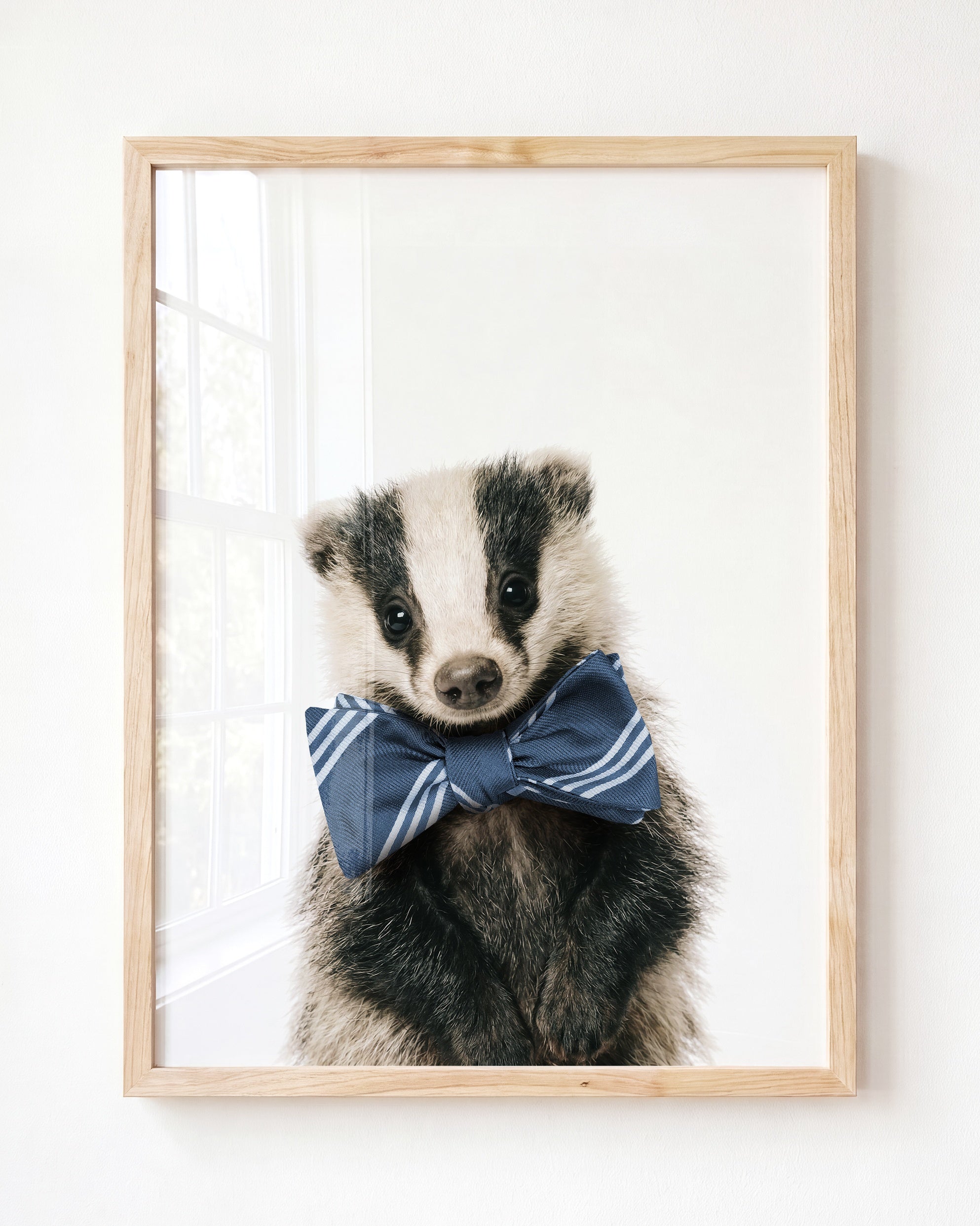 Baby Badger
