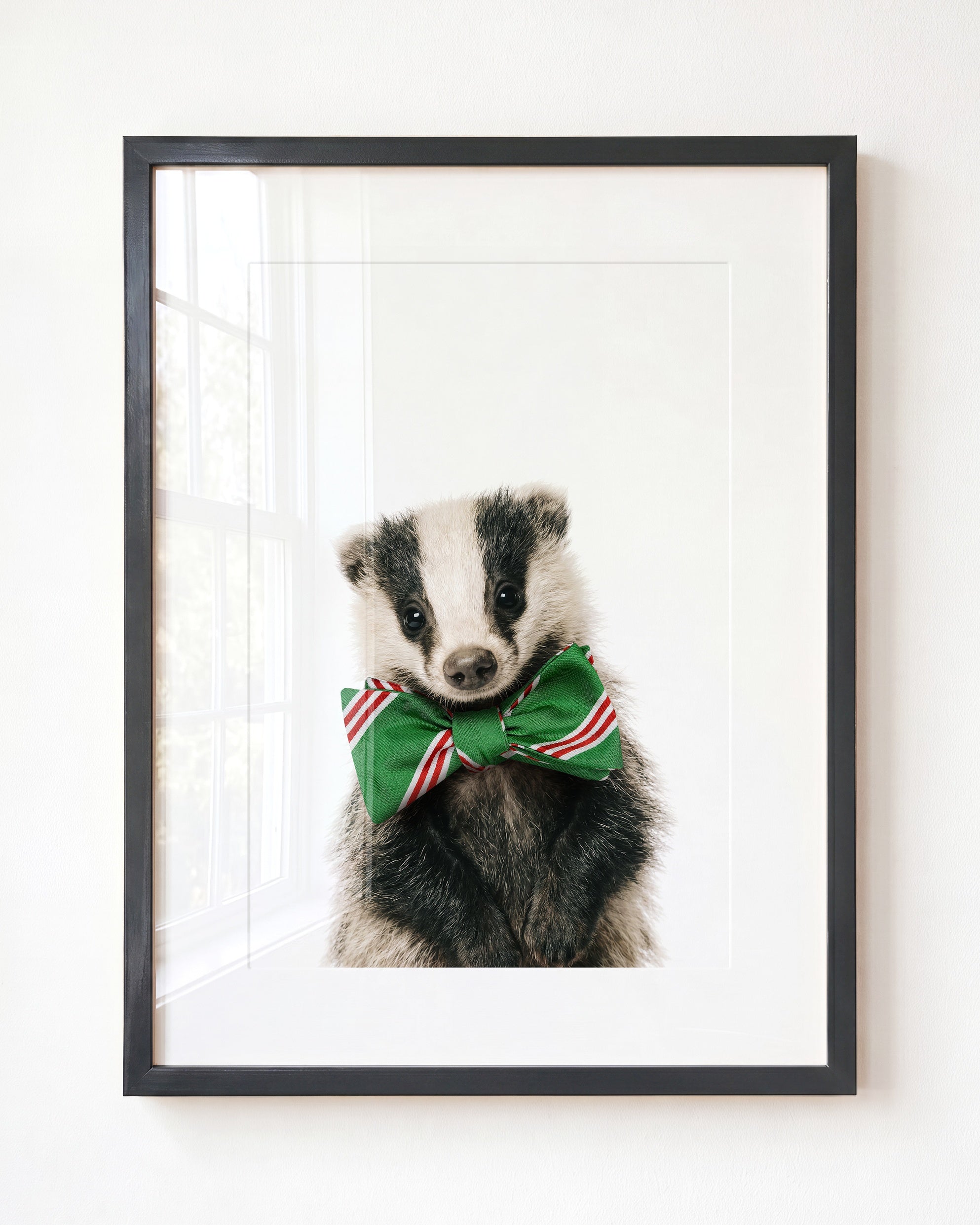 Baby Badger