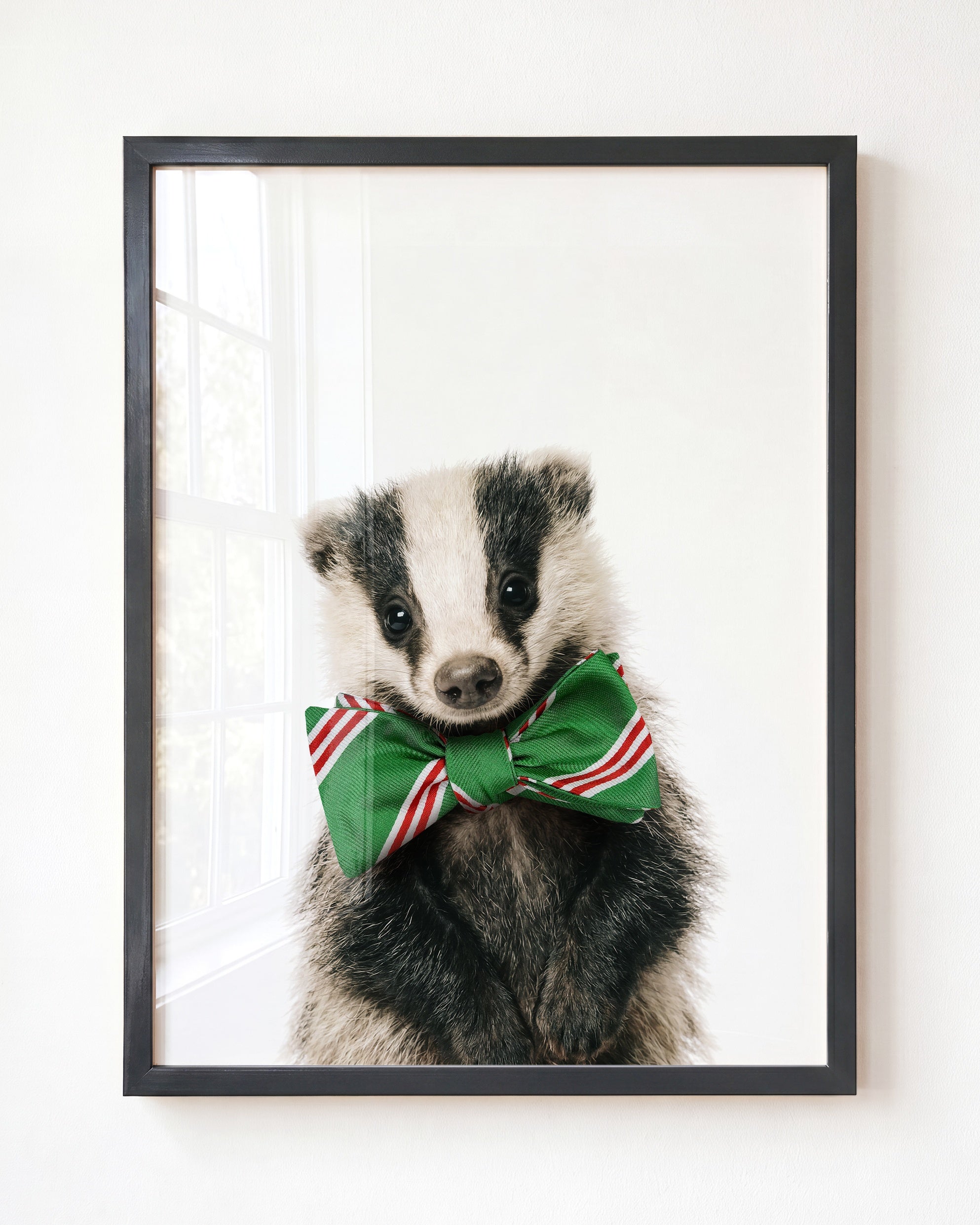 Baby Badger