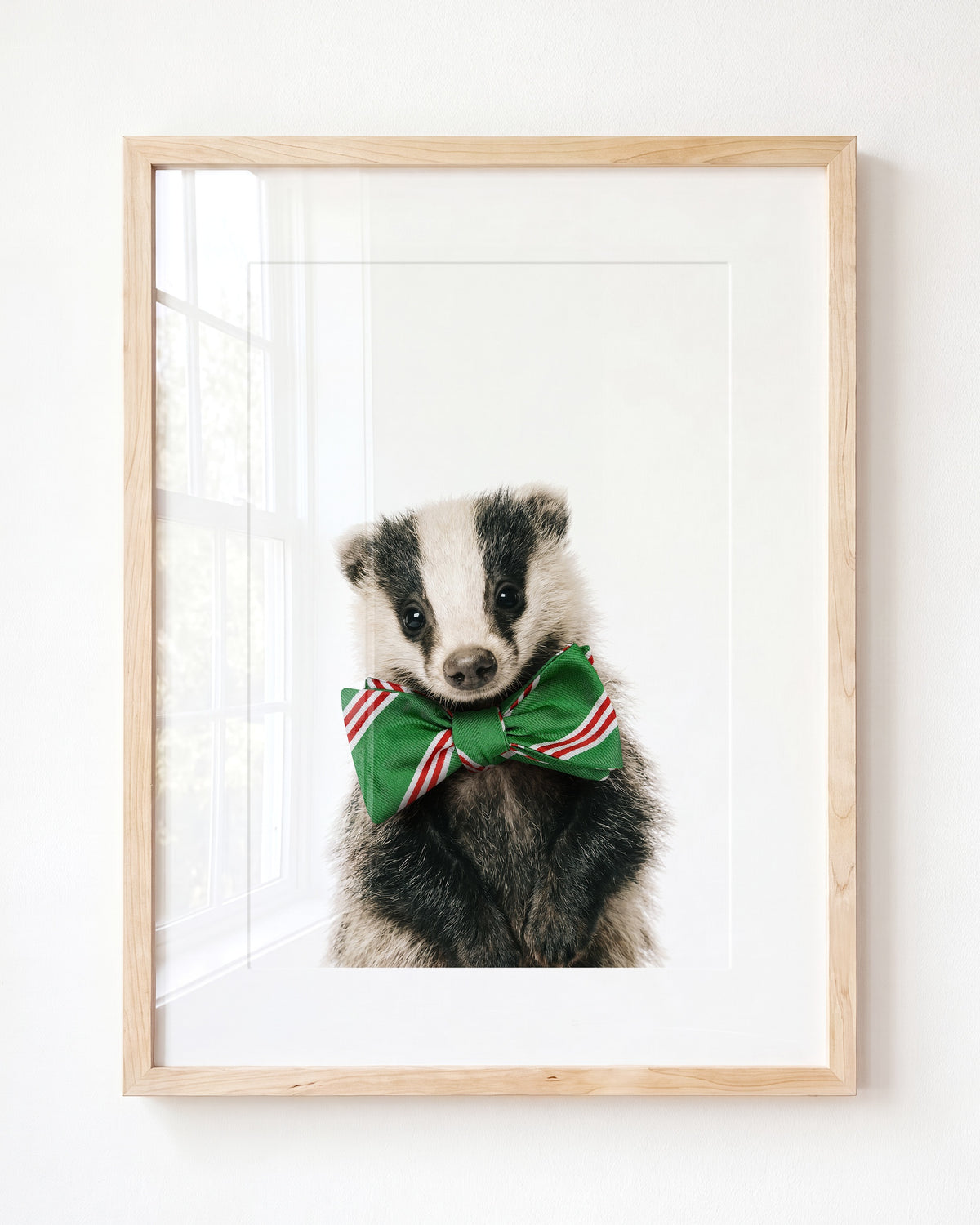 Baby Badger