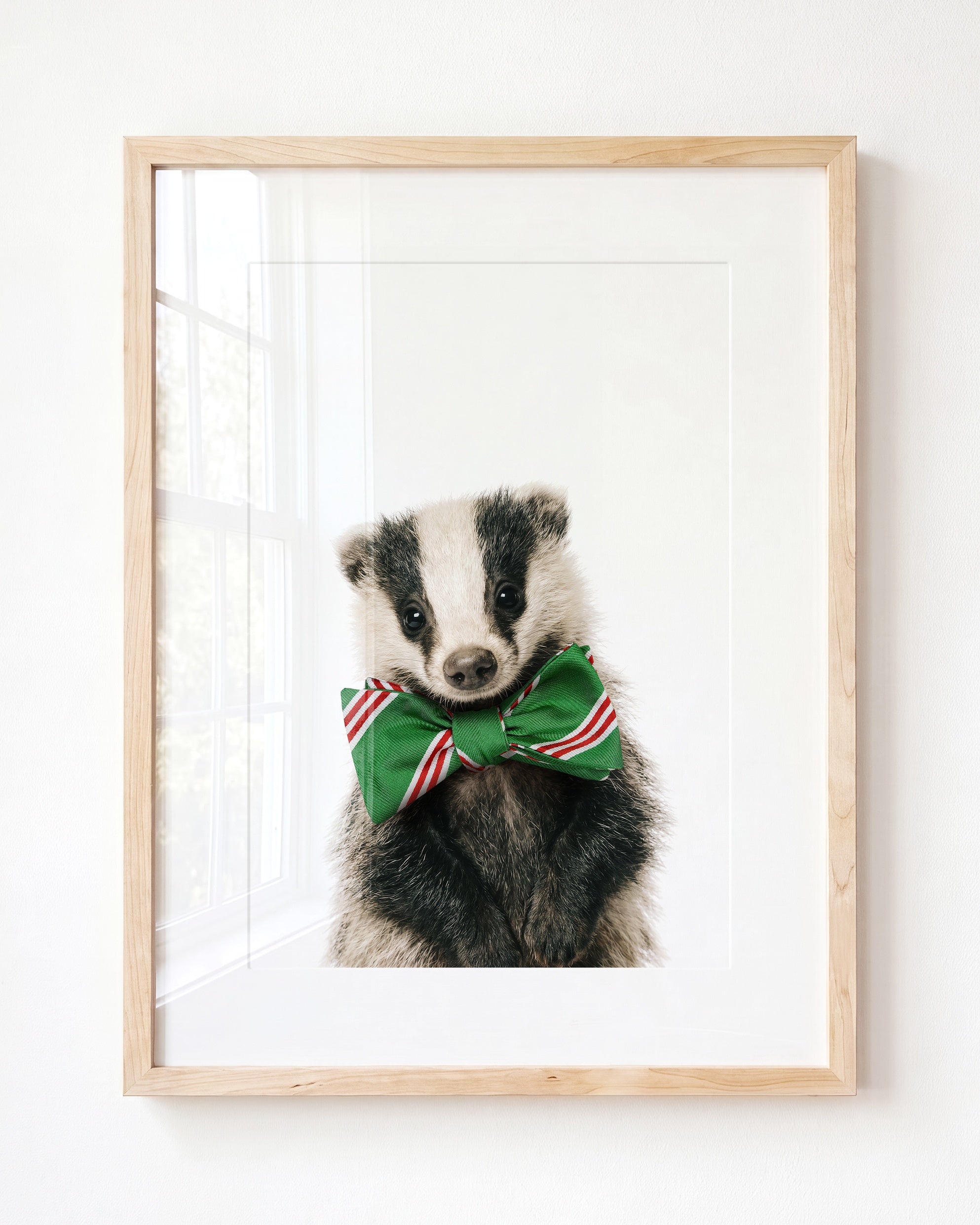 Baby Badger