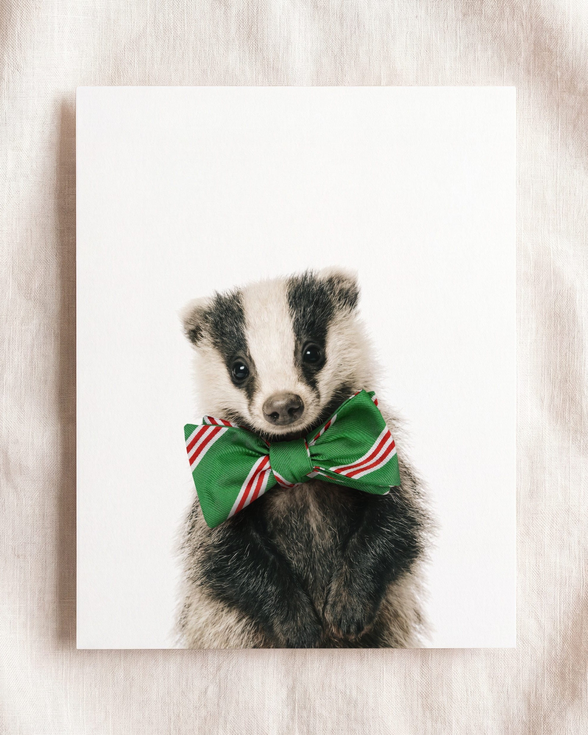 Baby Badger