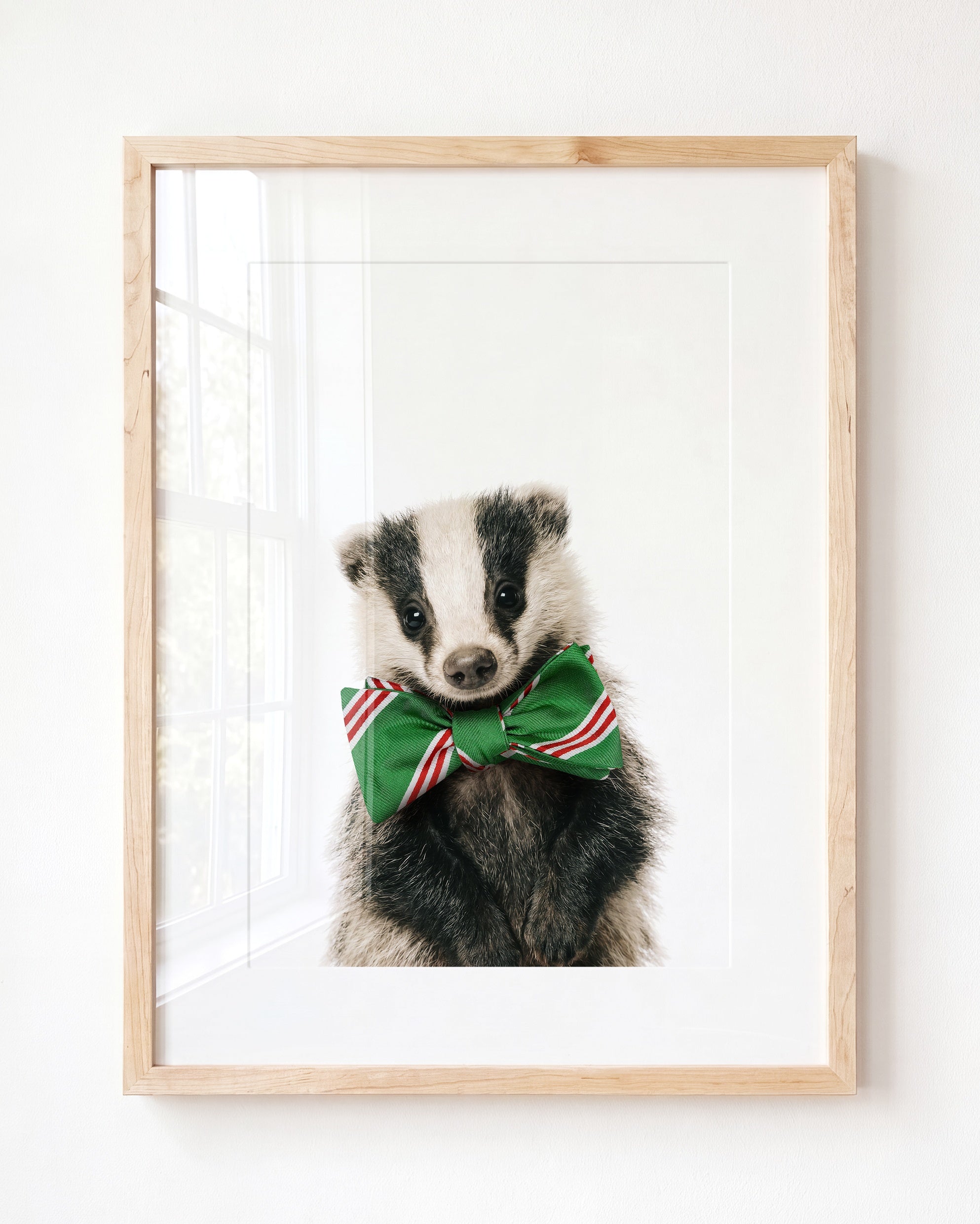 Baby Badger