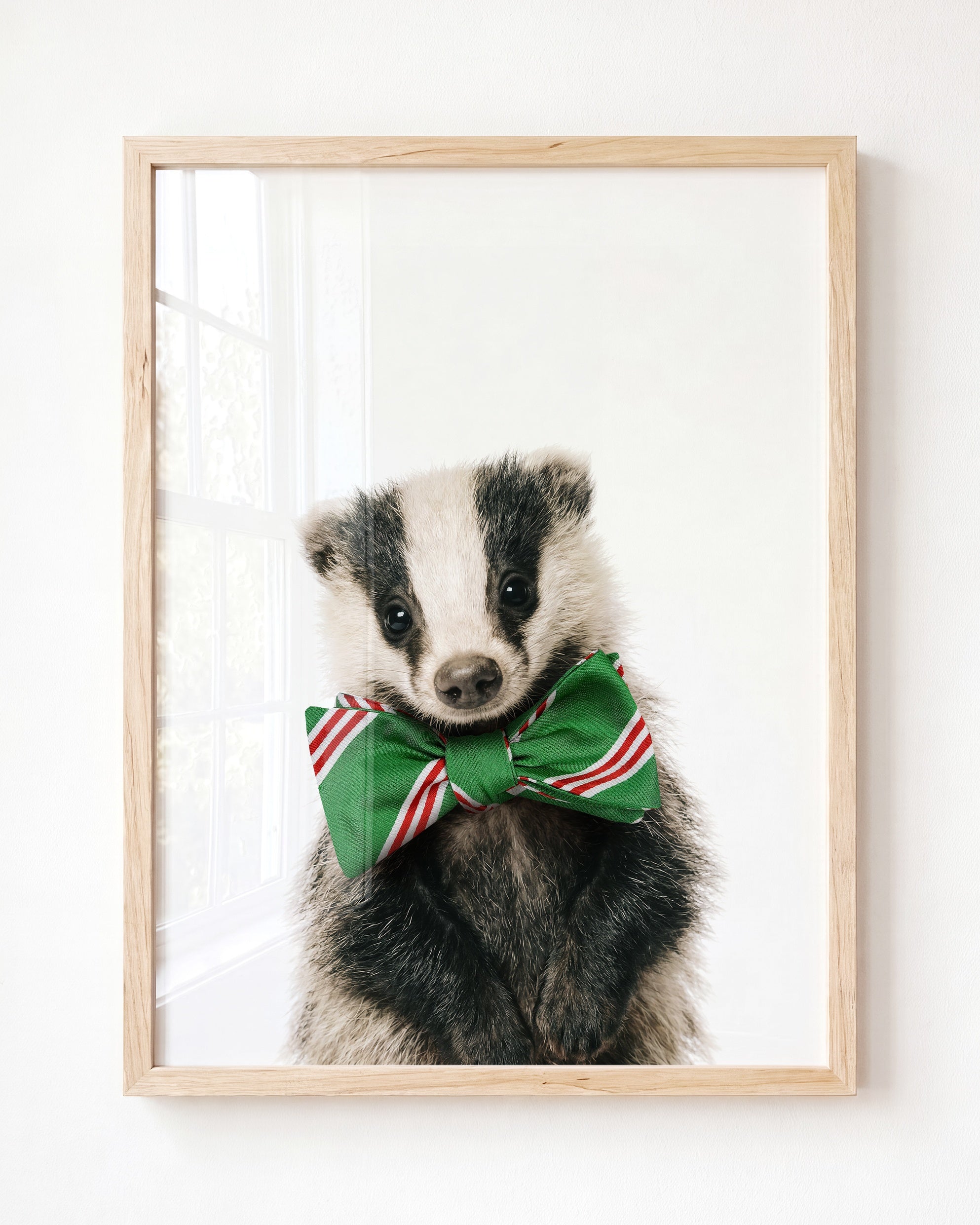 Baby Badger
