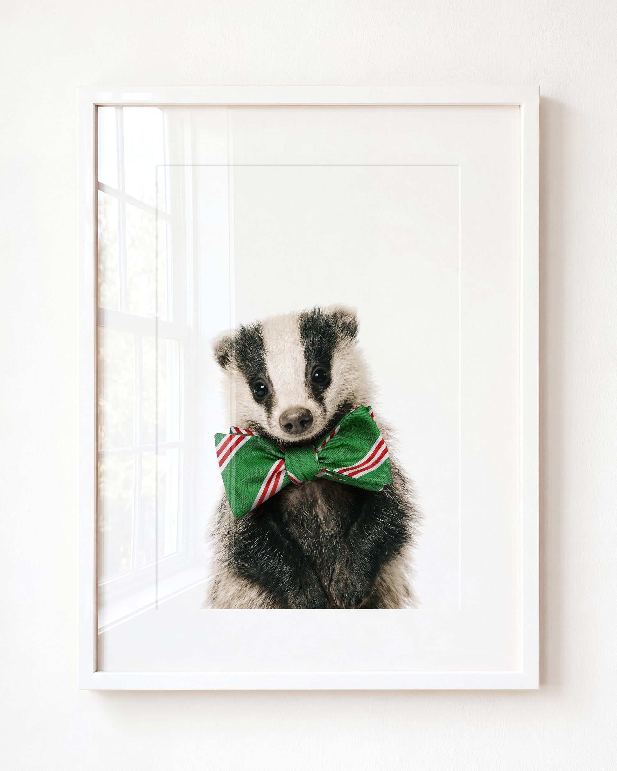 Baby Badger