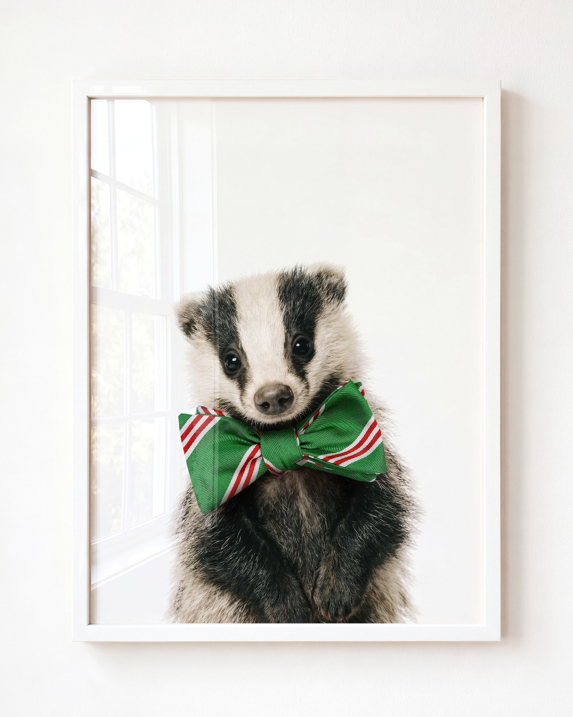 Baby Badger