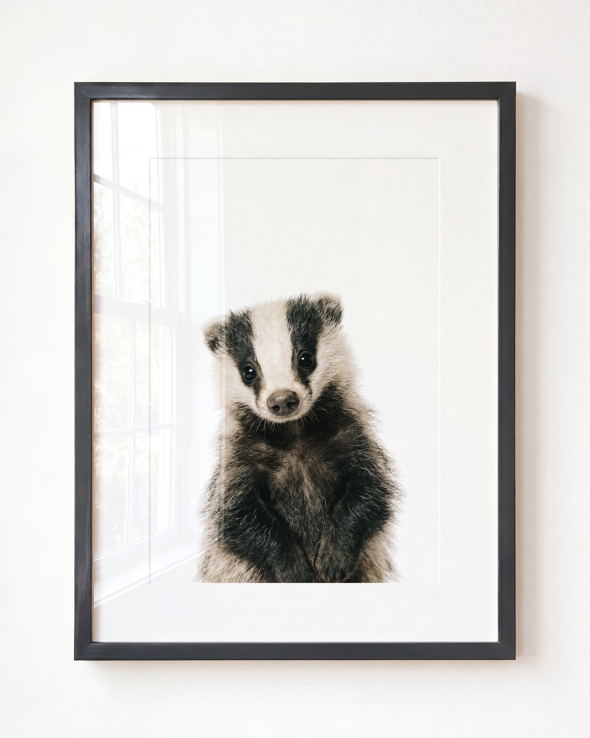 Baby Badger