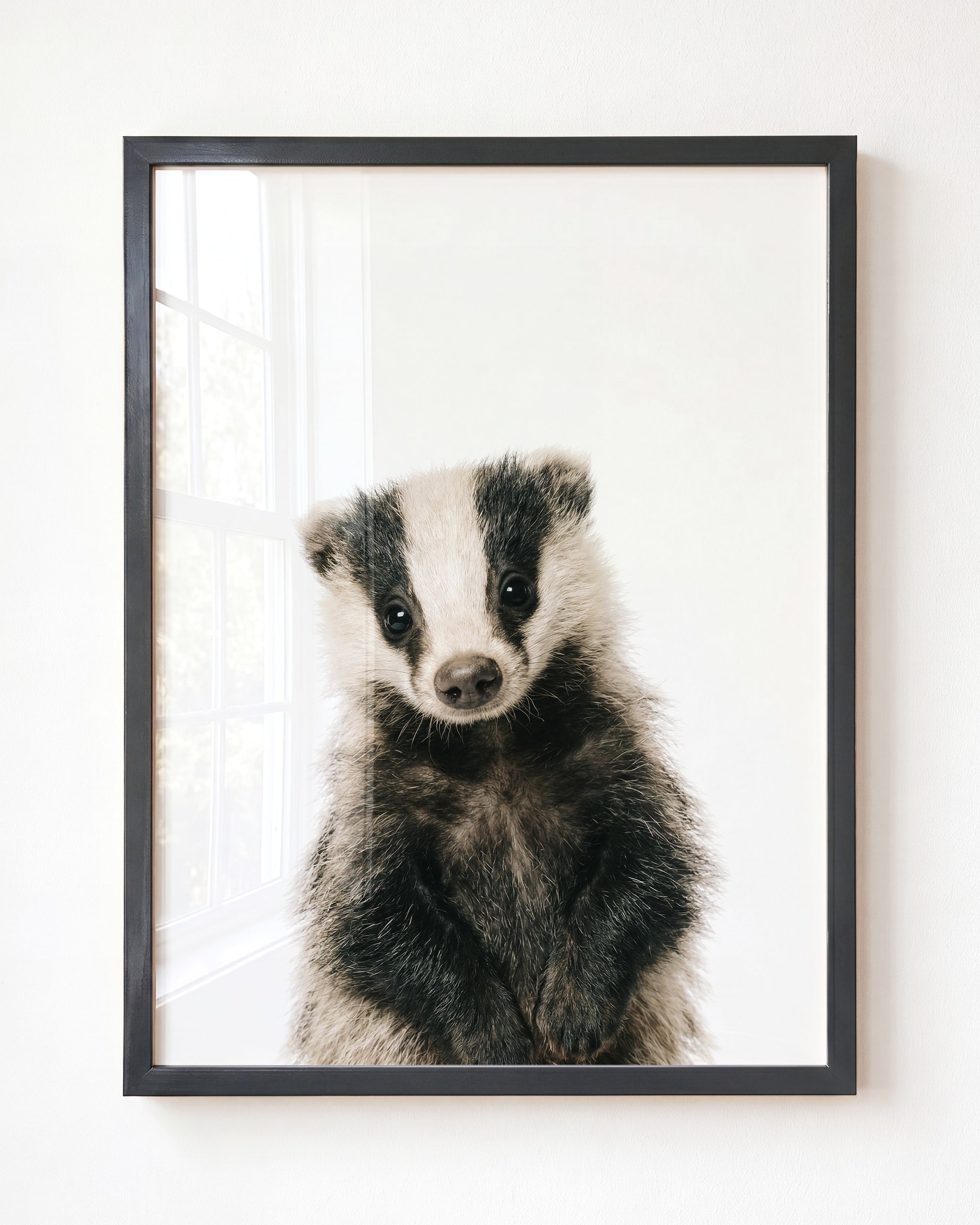 Baby Badger