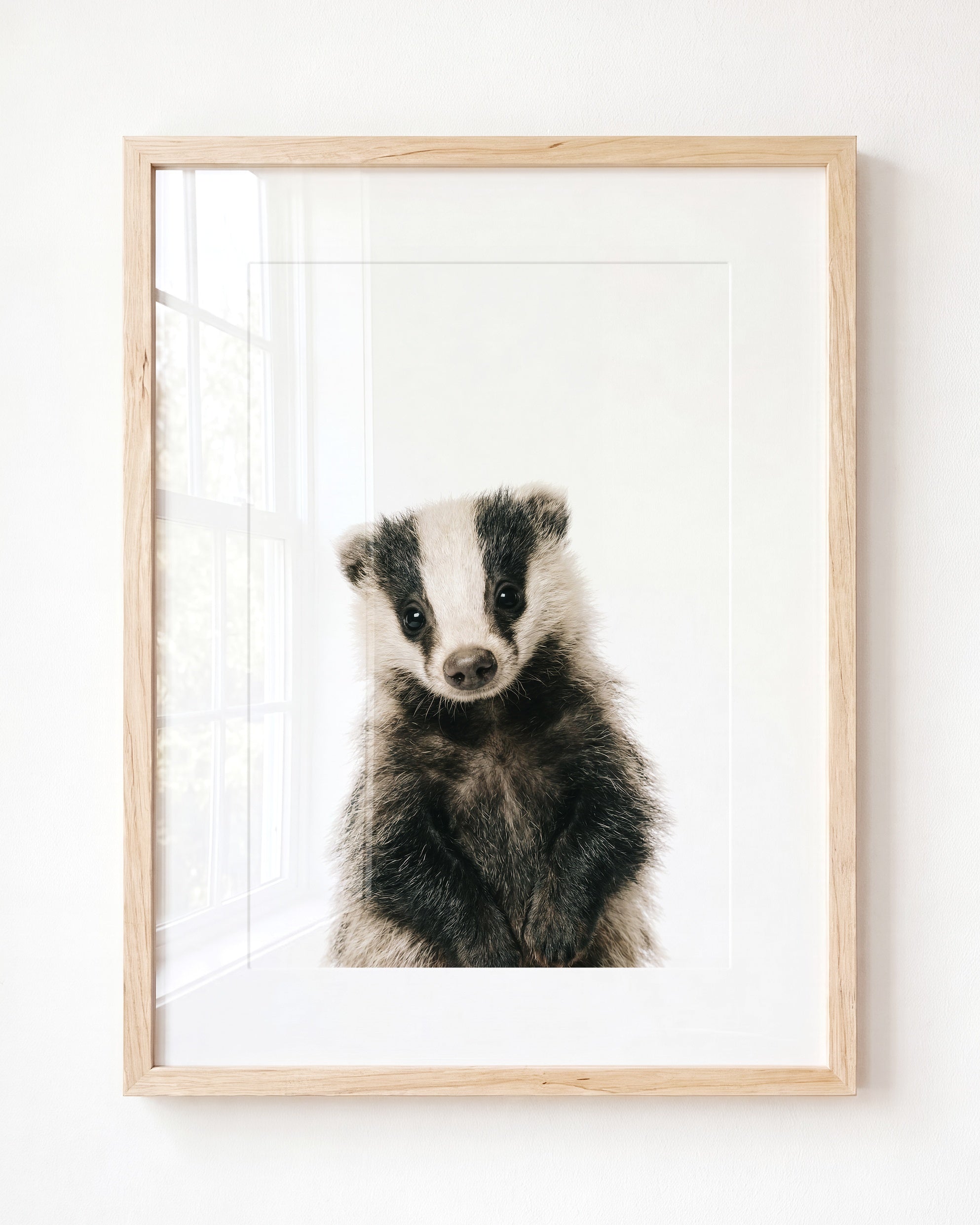 Baby Badger