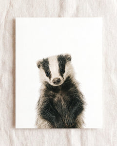 Baby Badger