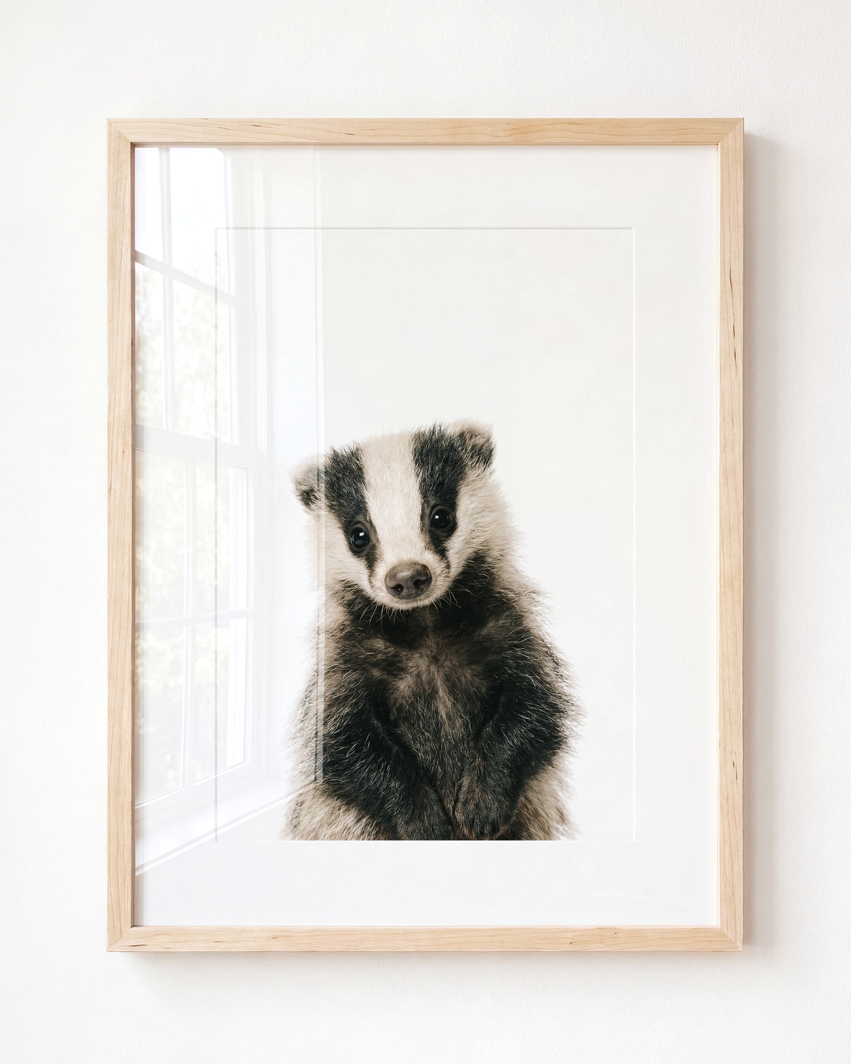 Baby Badger — Framed