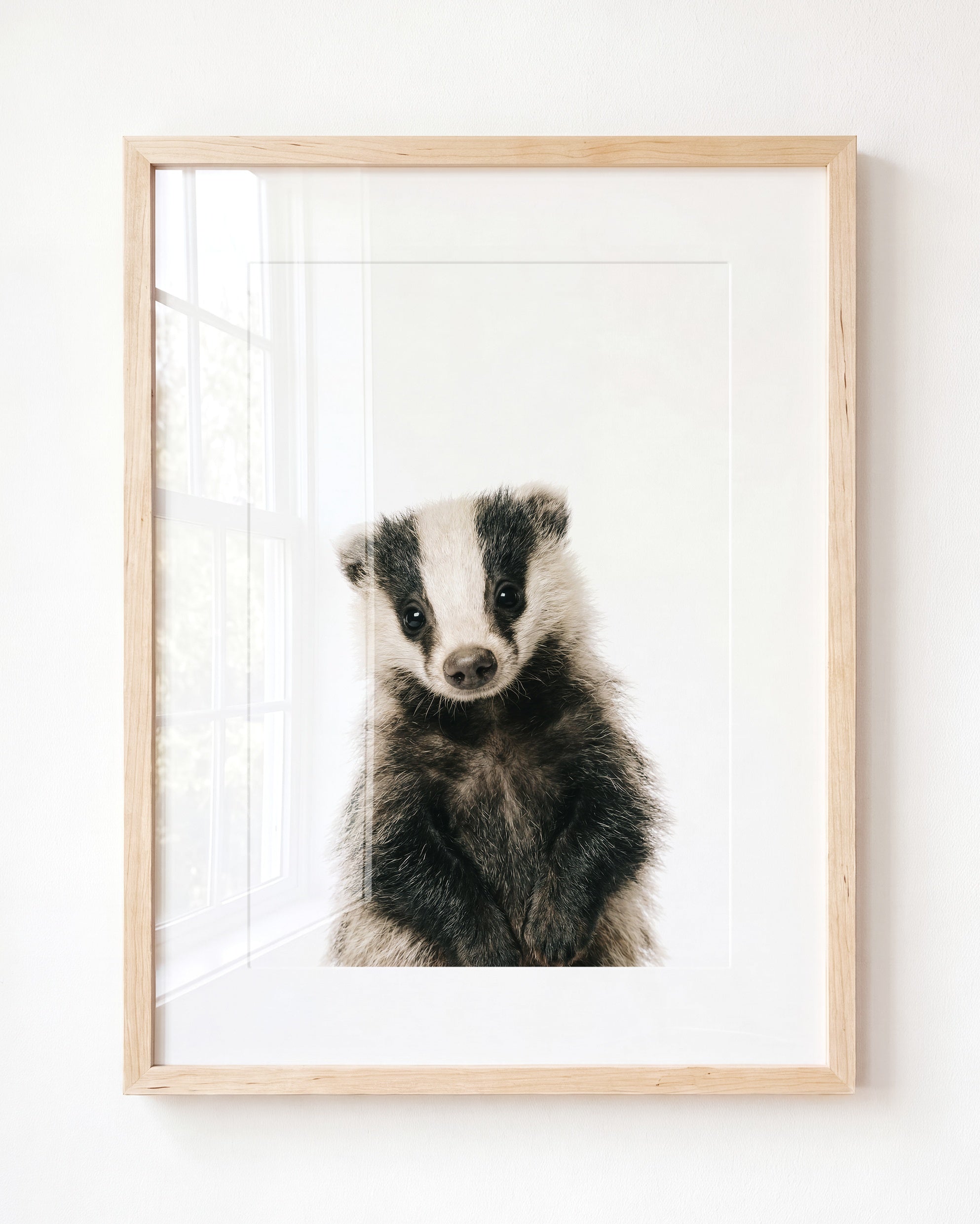 Baby Badger