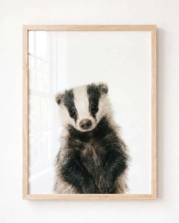 Baby Badger – Framed