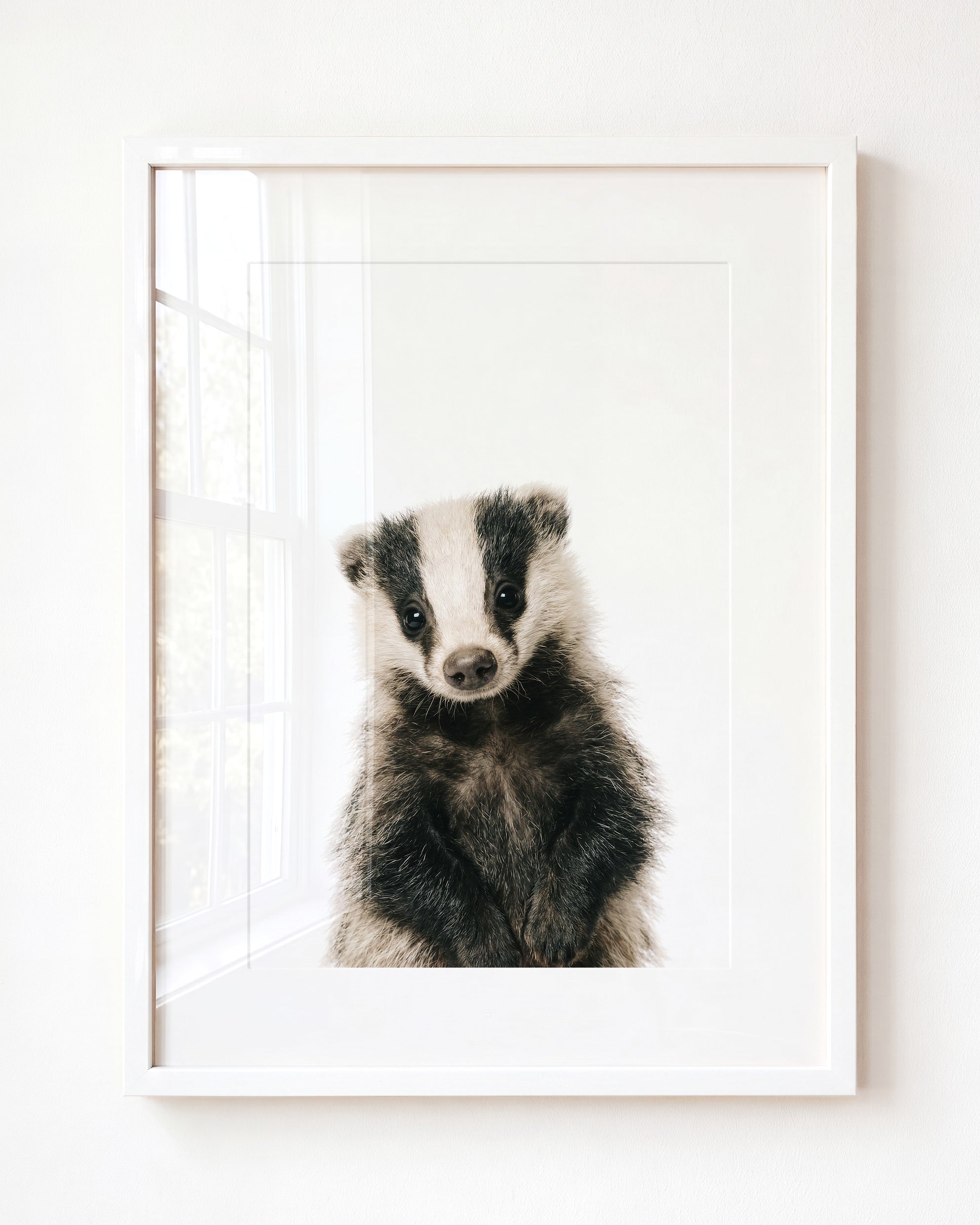 Baby Badger