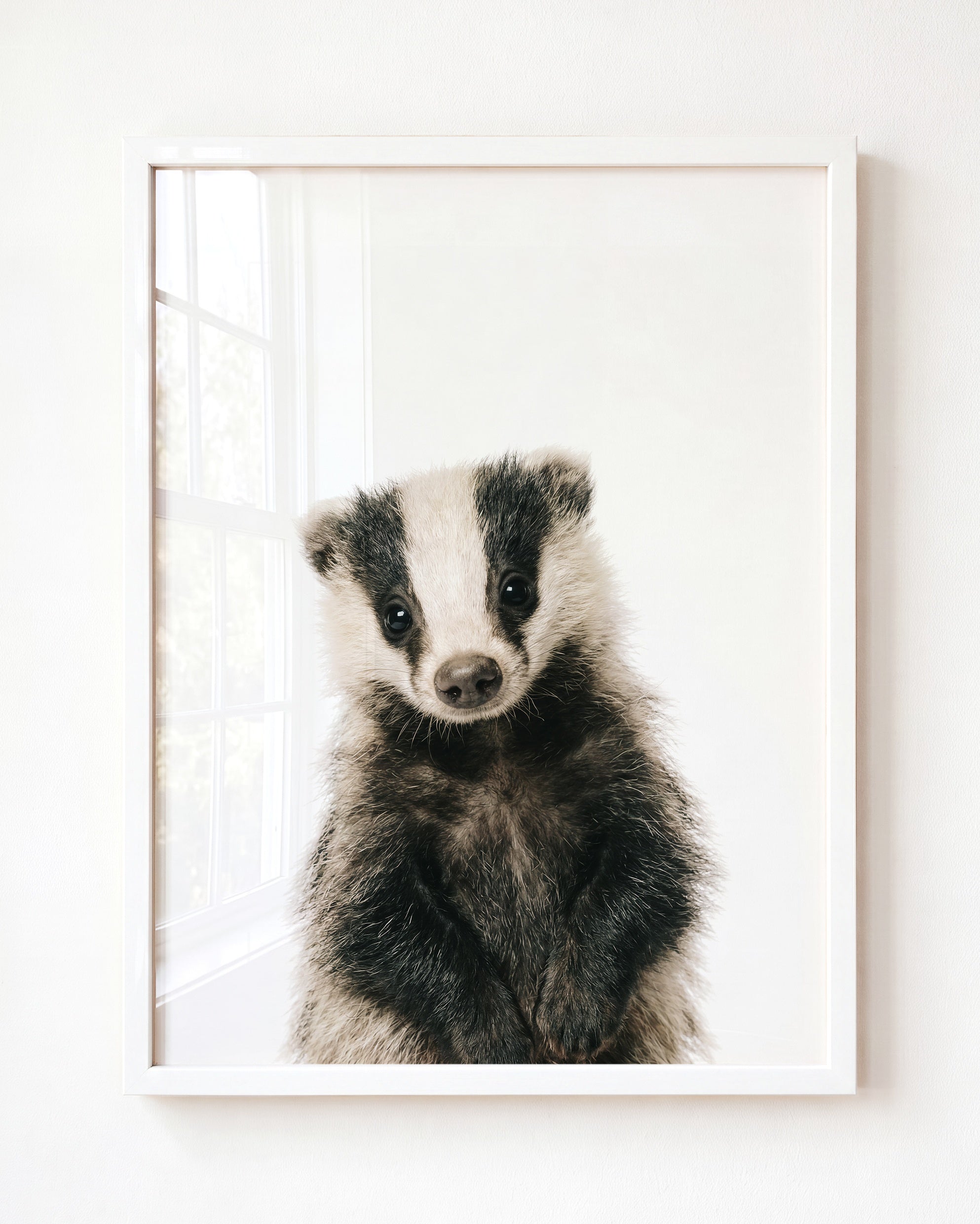 Baby Badger