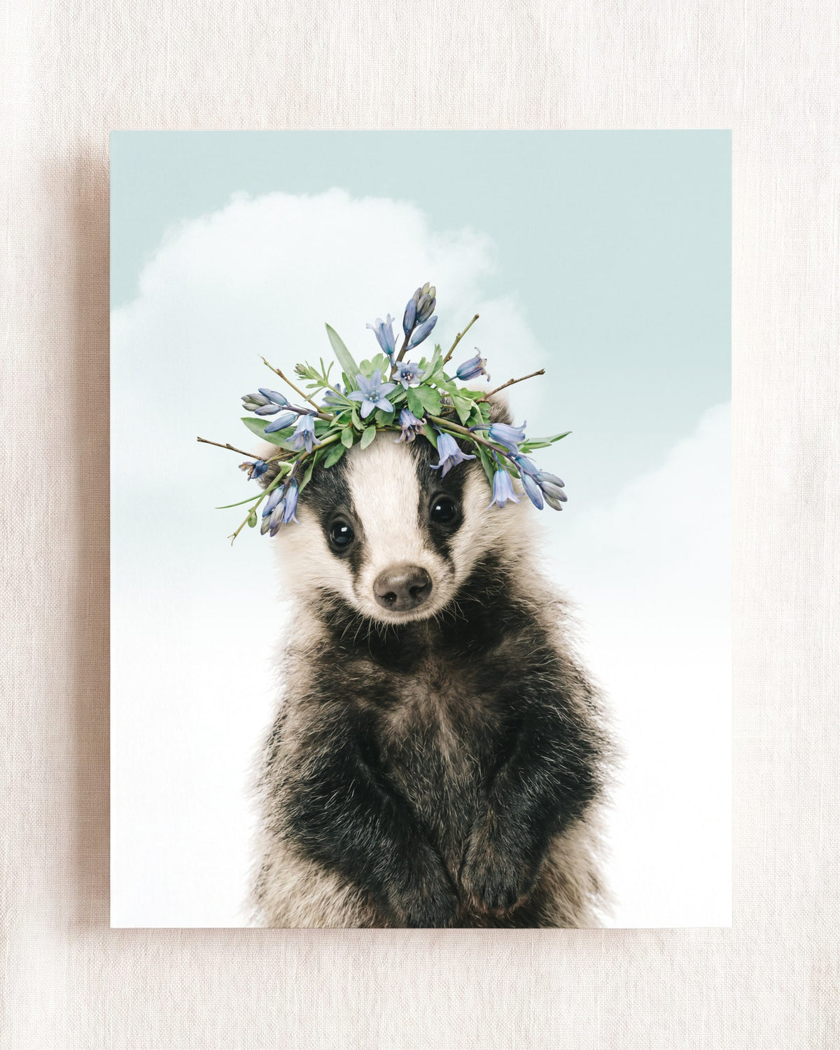 Baby Badger