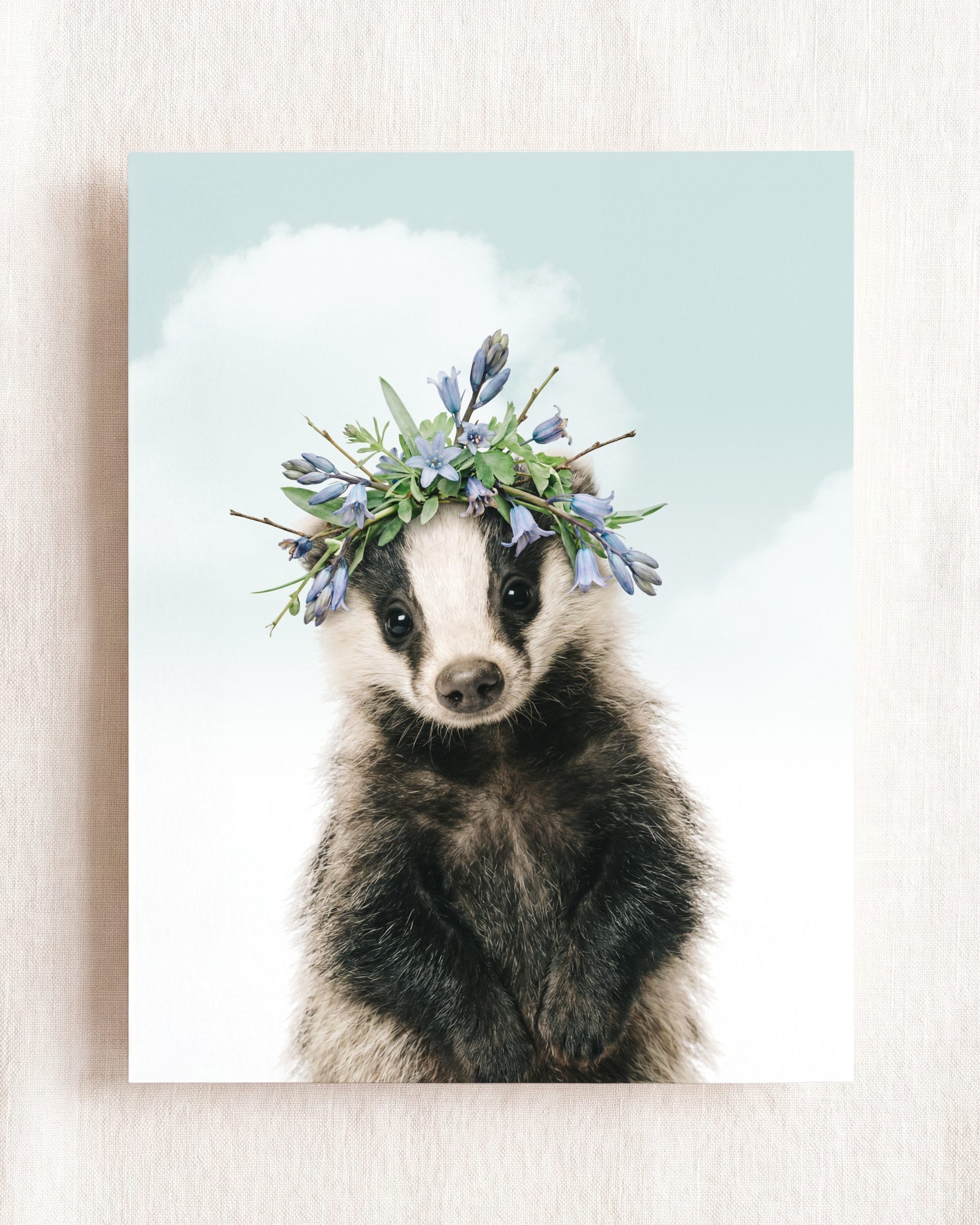 Baby Badger