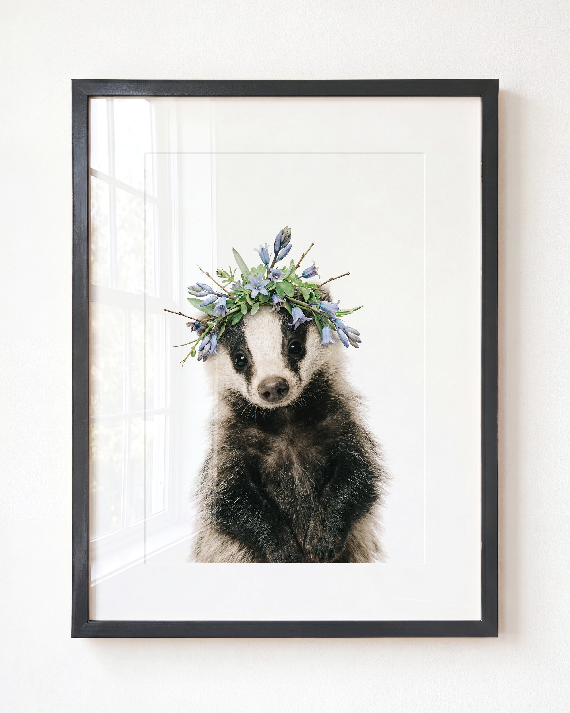 Baby Badger
