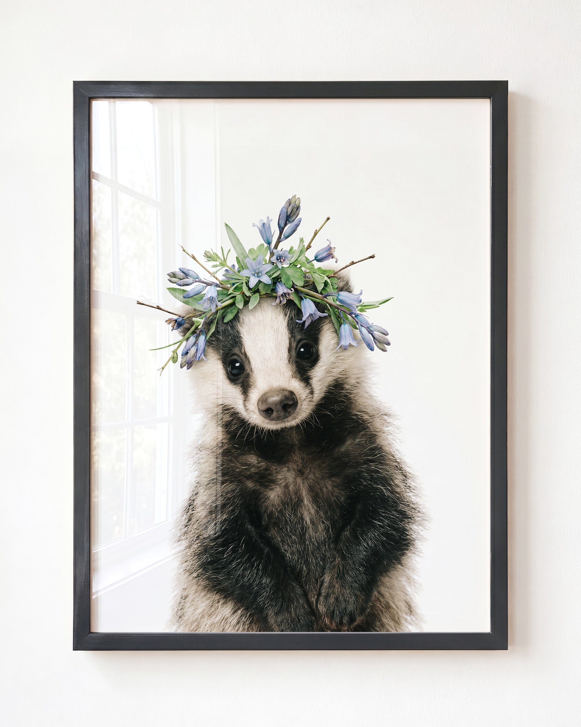 Baby Badger