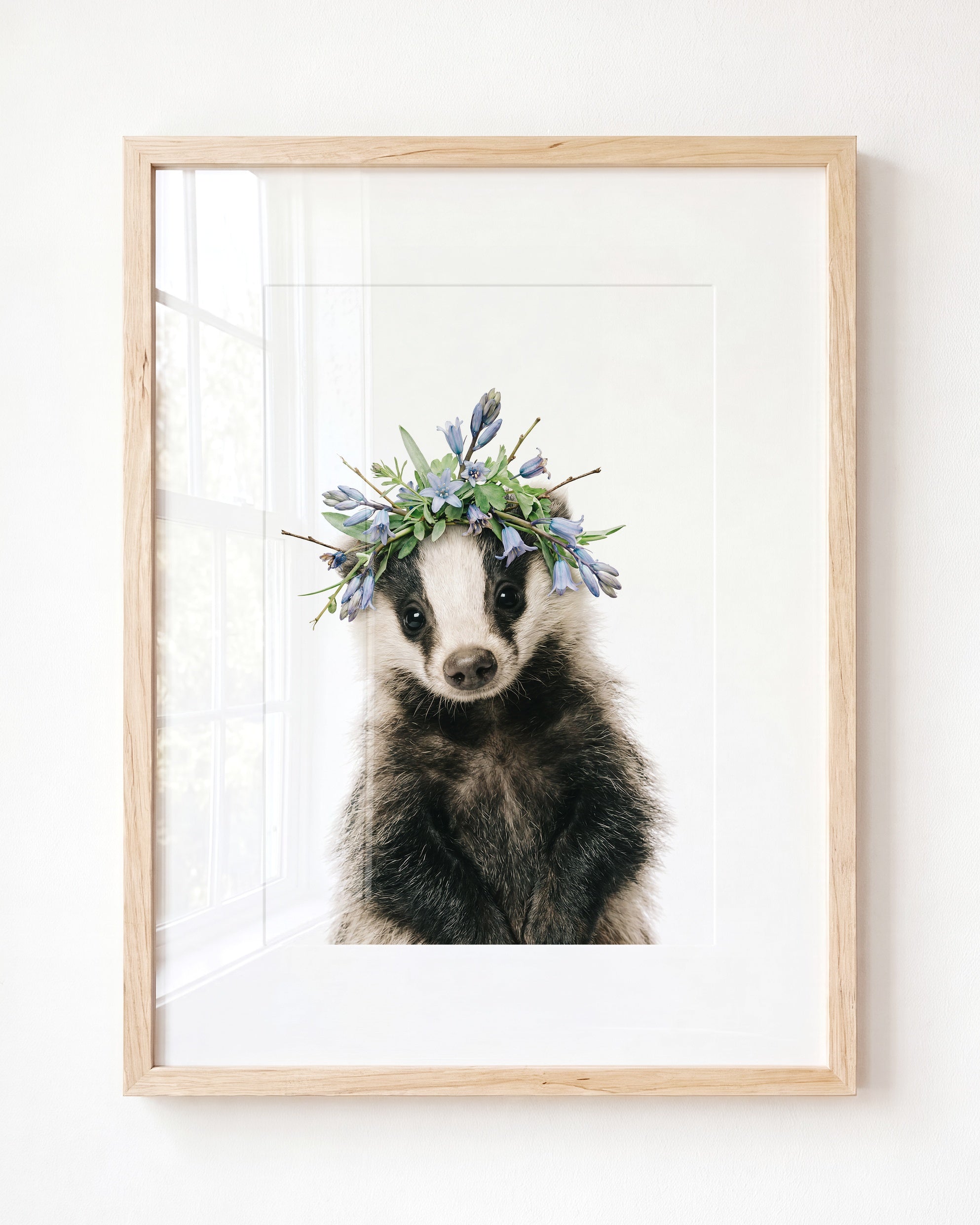 Baby Badger