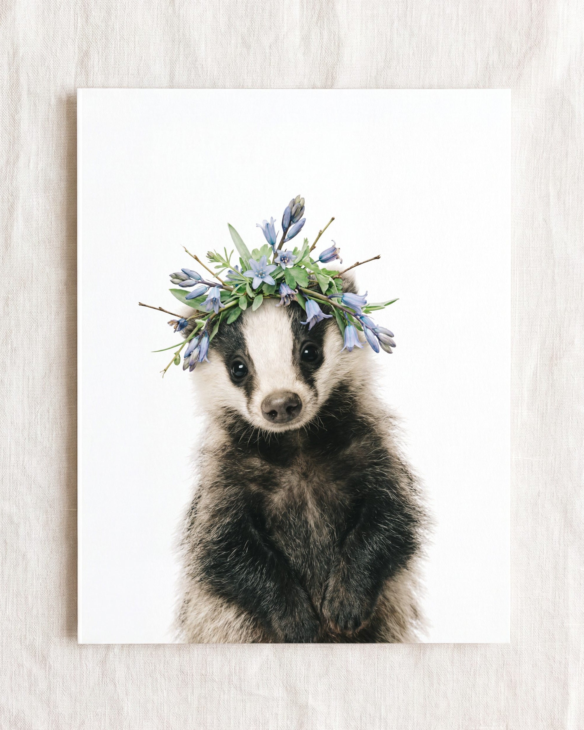 Baby Badger
