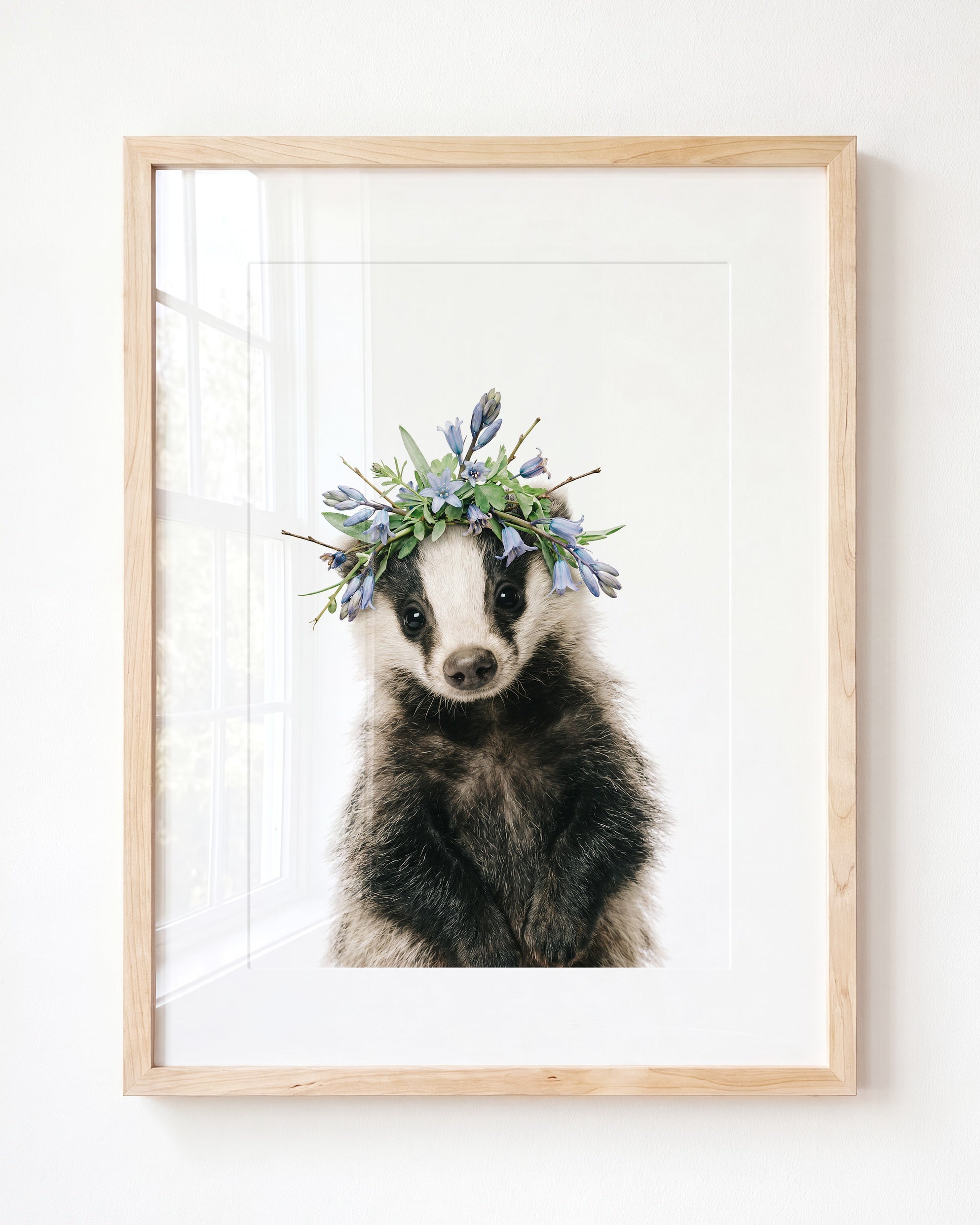 Baby Badger