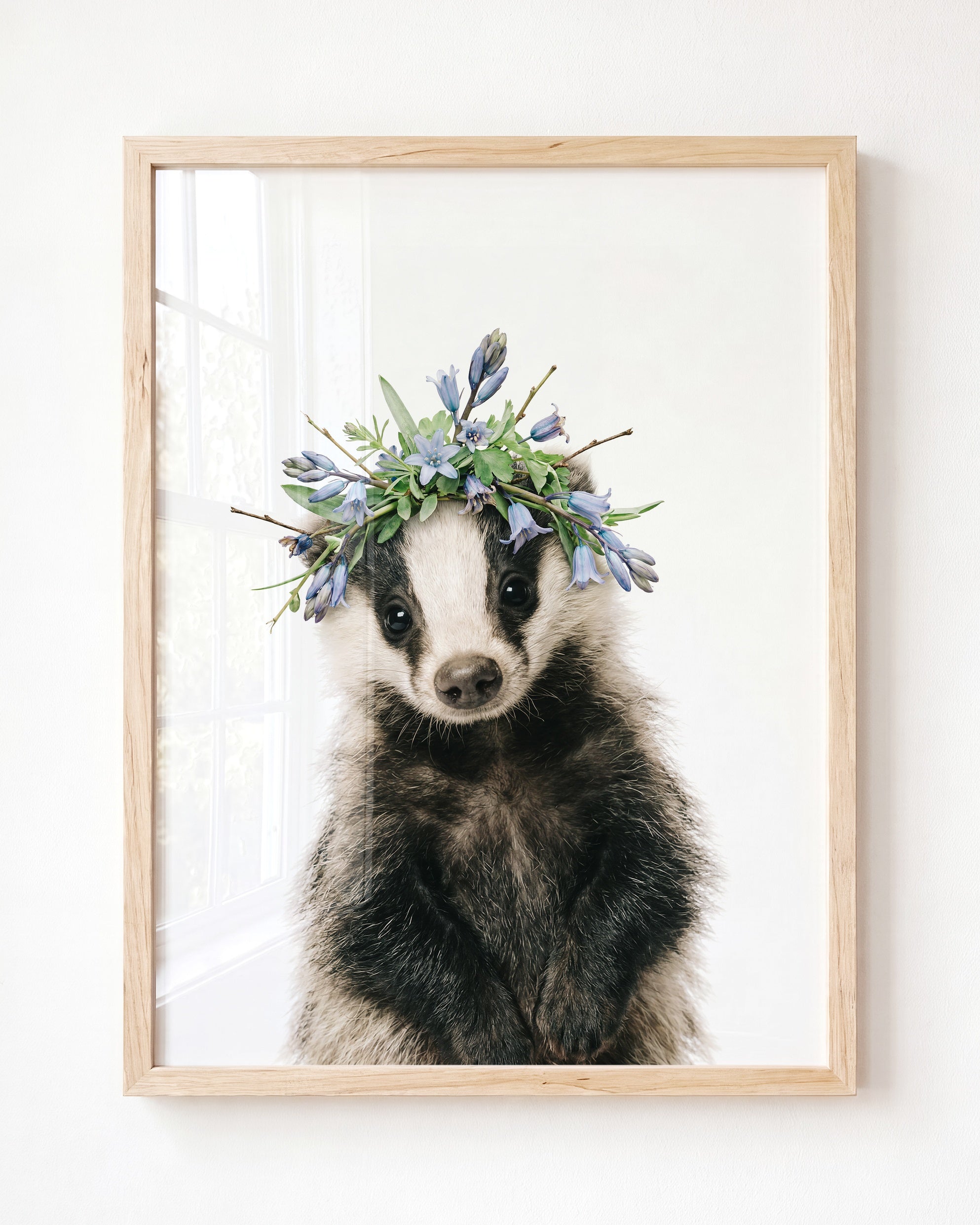 Baby Badger