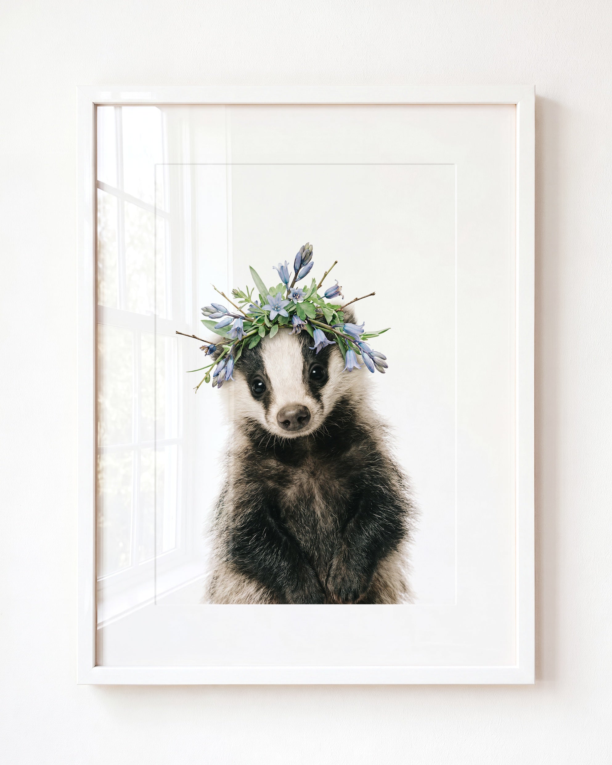 Baby Badger