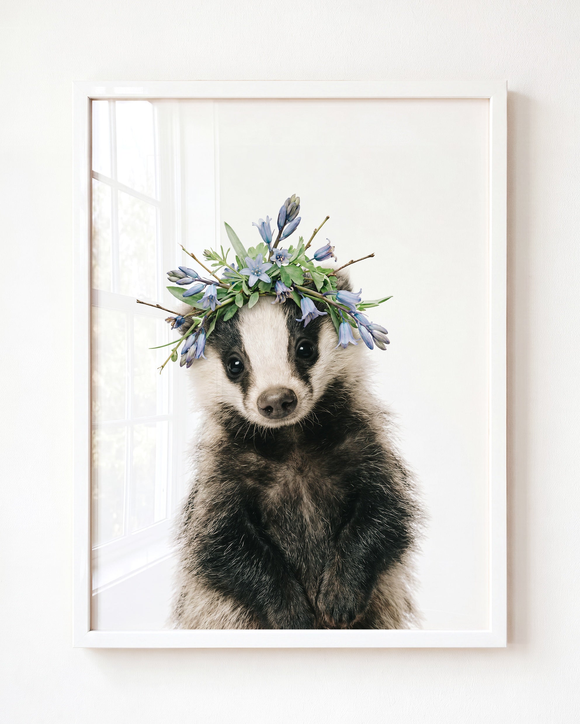 Baby Badger