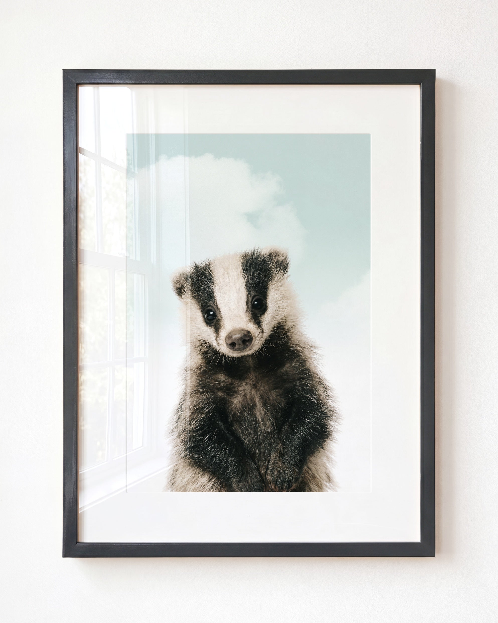 Baby Badger