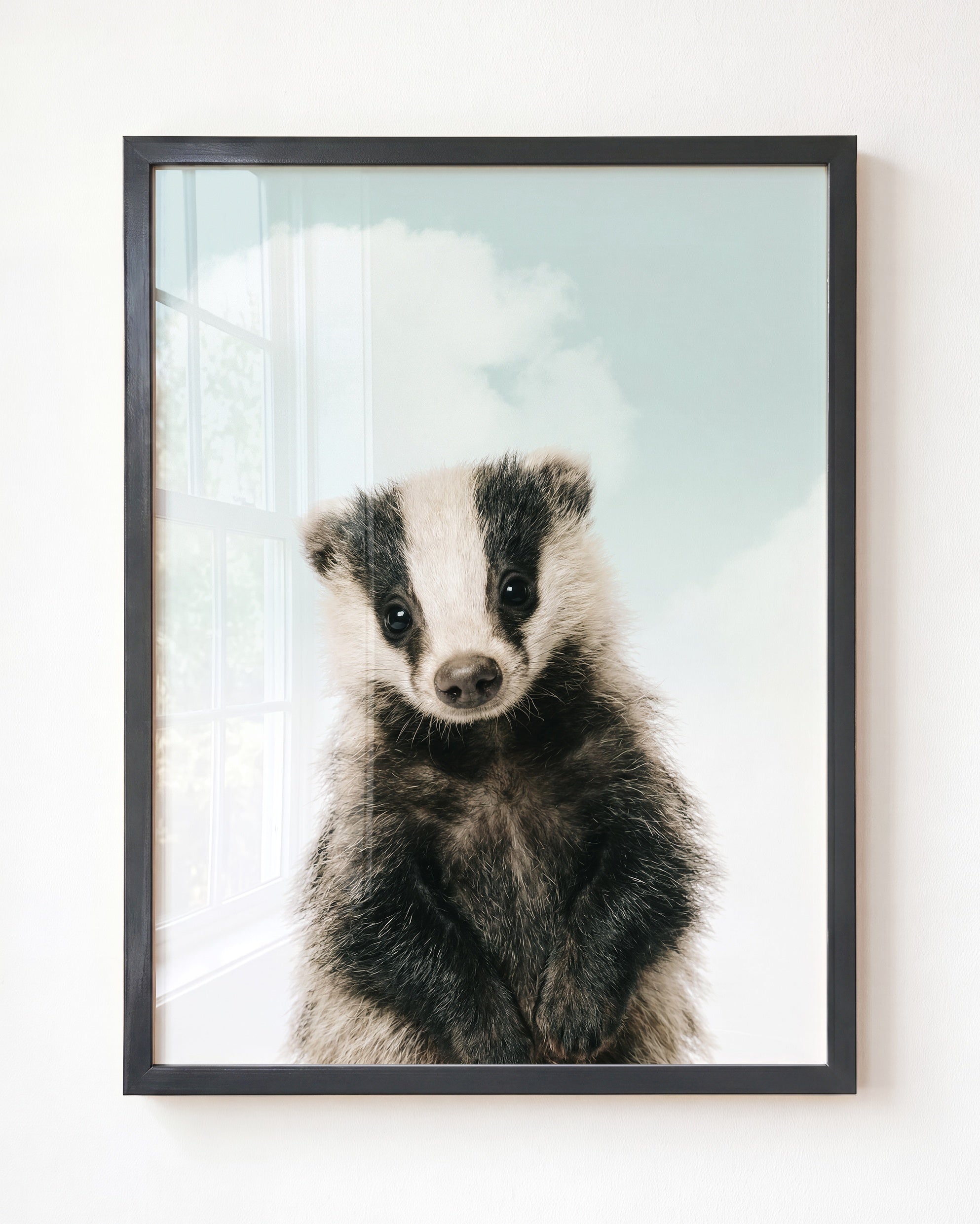 Baby Badger