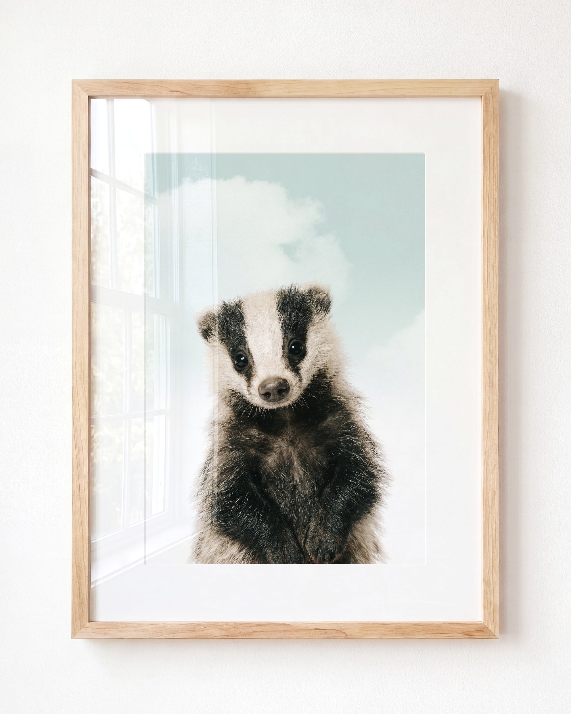 Baby Badger