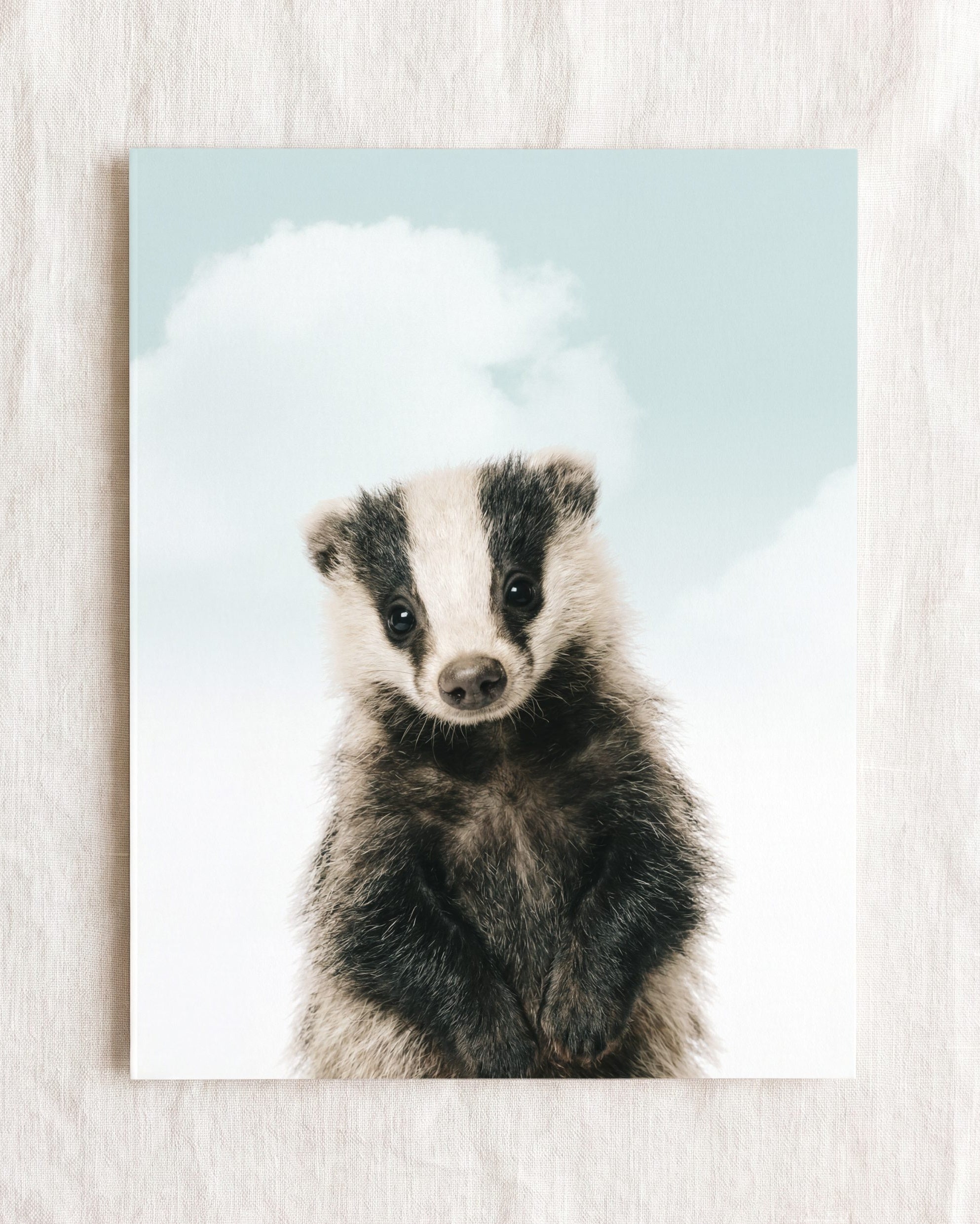 Baby Badger