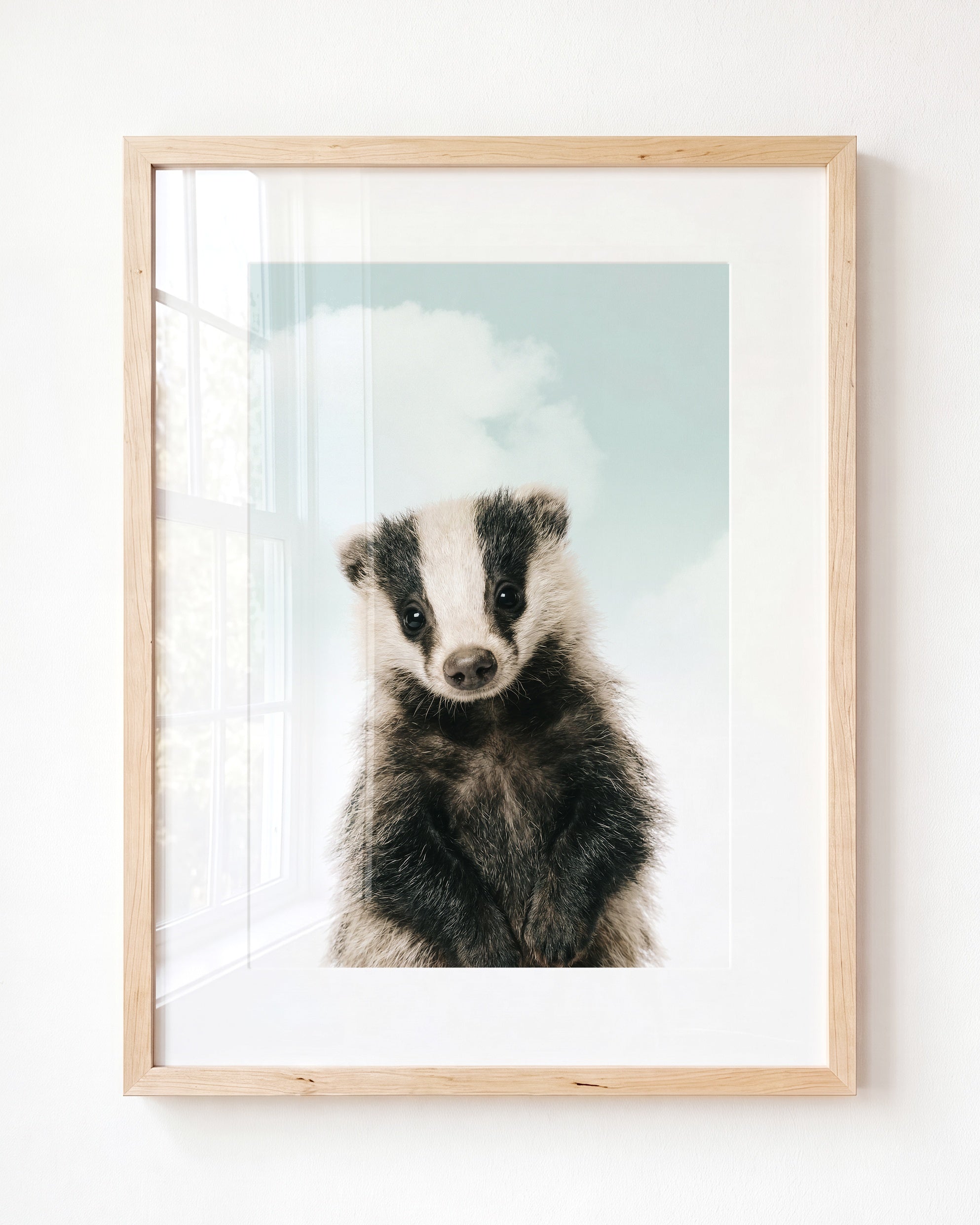 Baby Badger