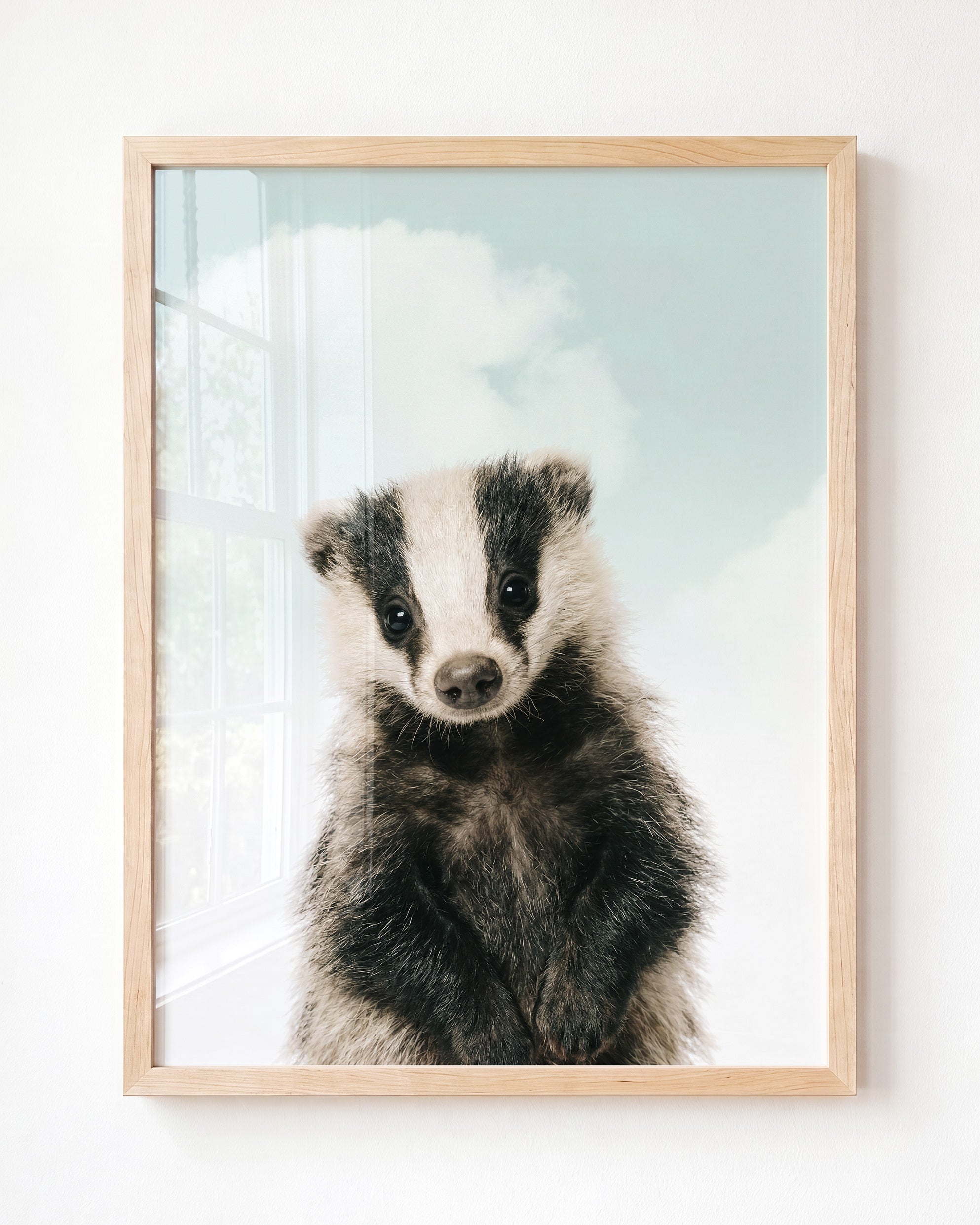 Baby Badger