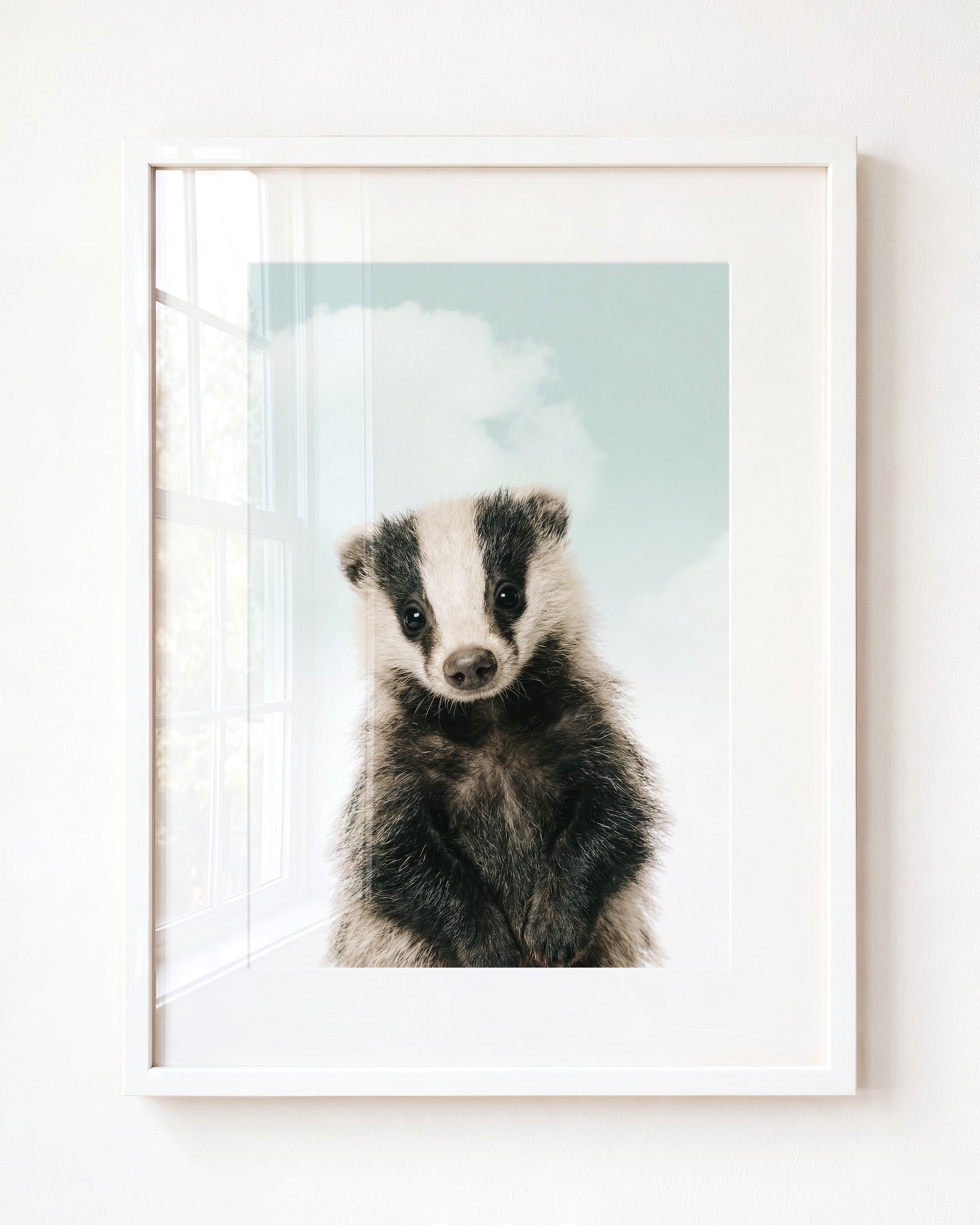 Baby Badger