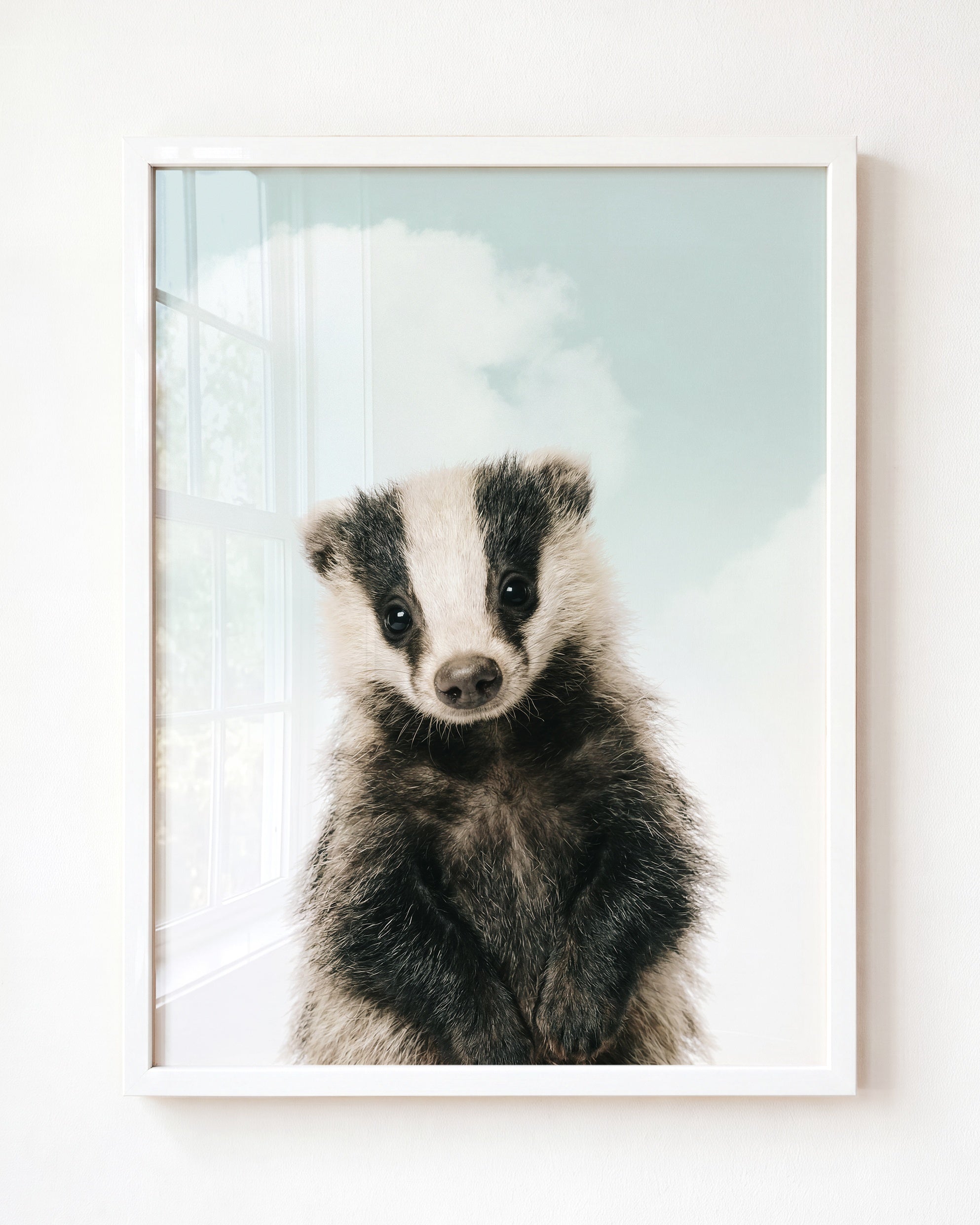 Baby Badger