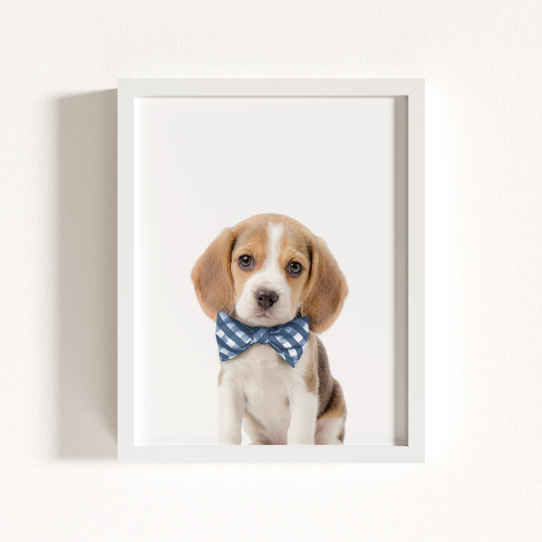 Baby Beagle Puppy