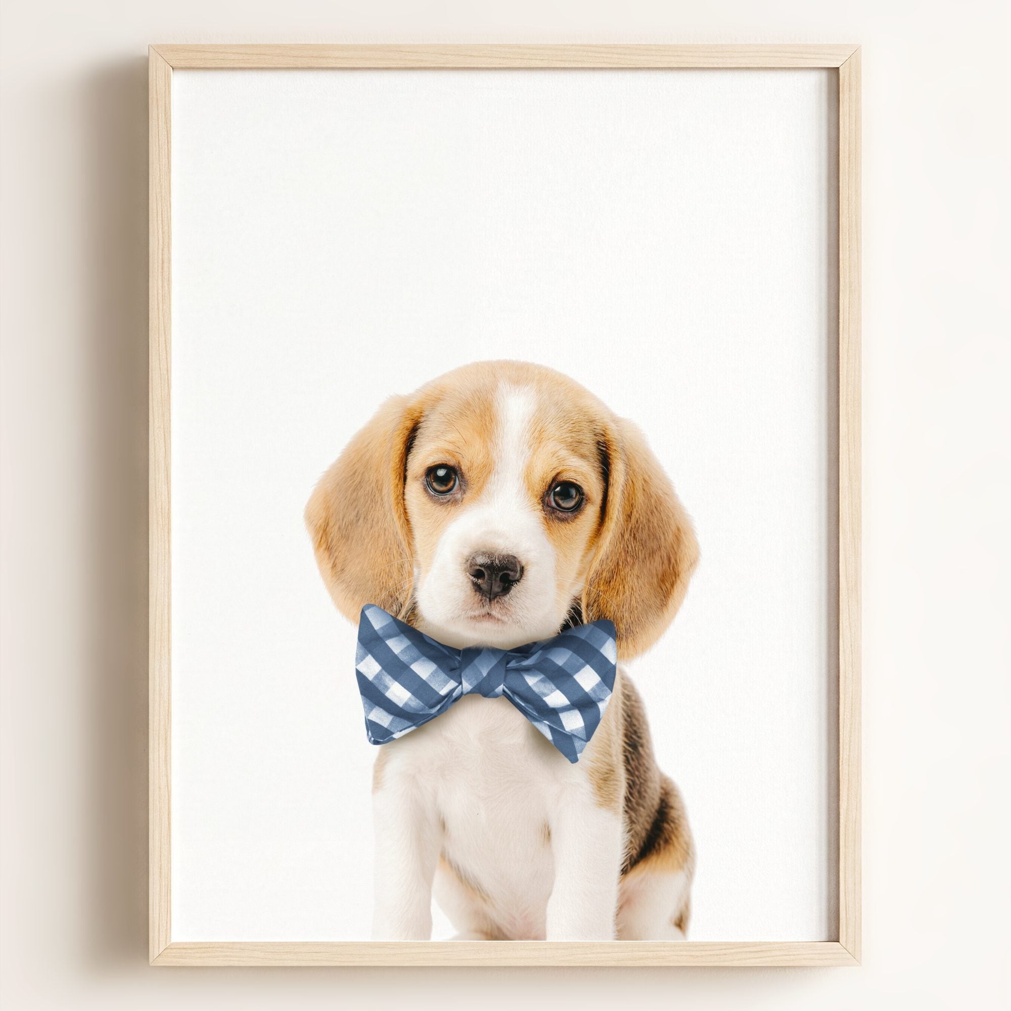 Baby Beagle Puppy